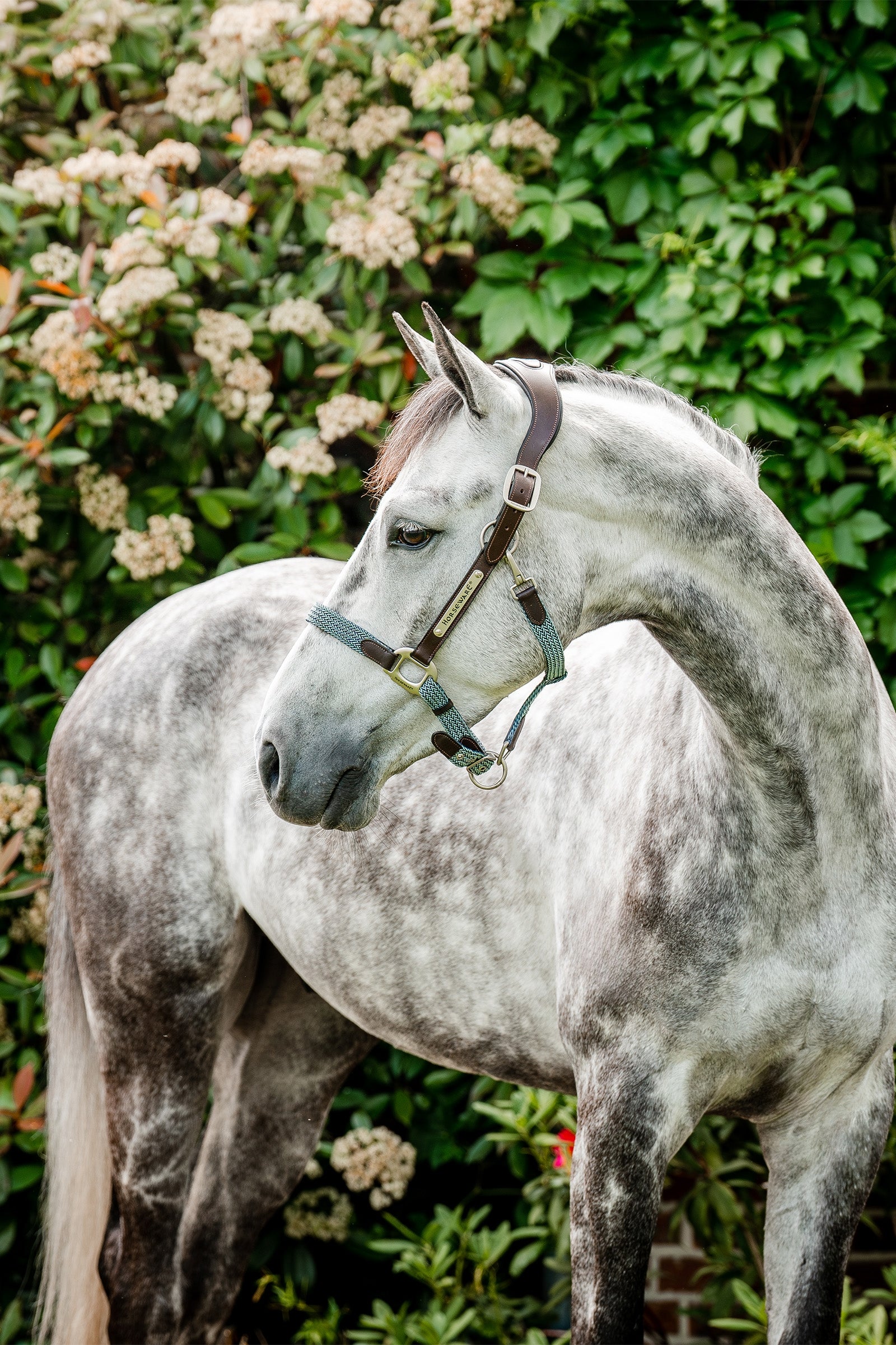 Horseware Signature Gevlochten Halster Halsters & Halstertouwen