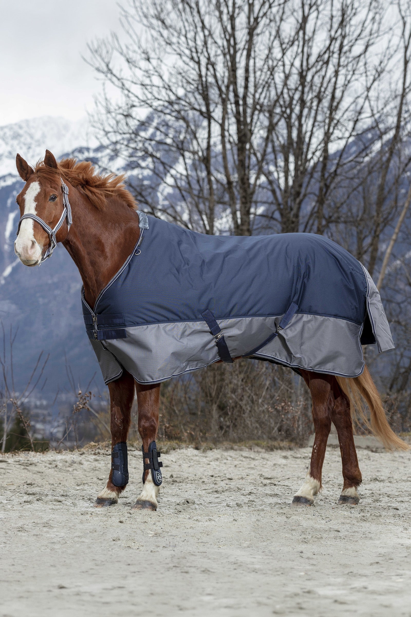 Equi Theme EQUITHÈME TYREX 600D Turnout Rug, 450 g Horse Rugs
