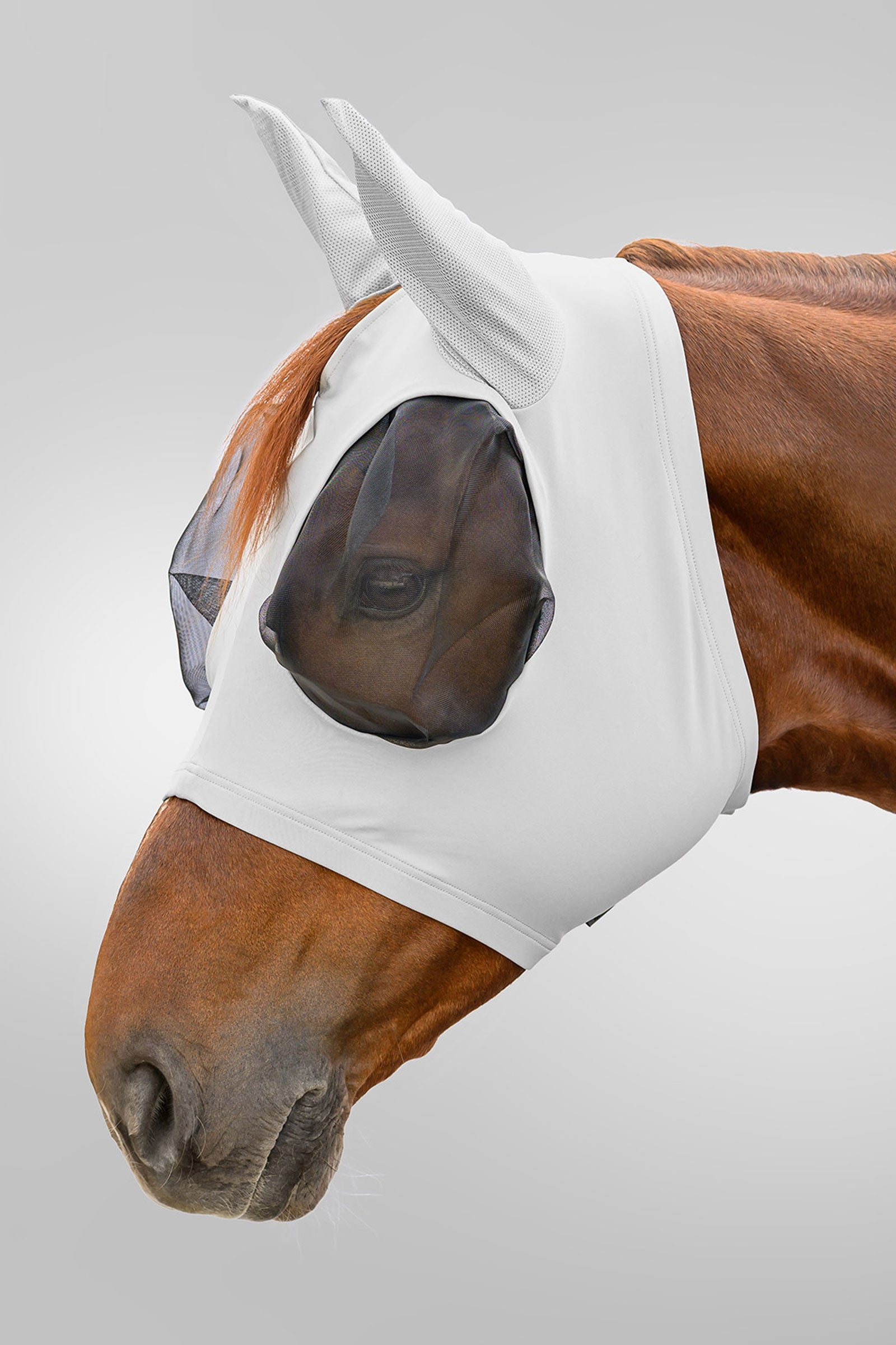 Waldhausen Flex Puck vliegenmasker met UV-bescherming Vliegenbescherming