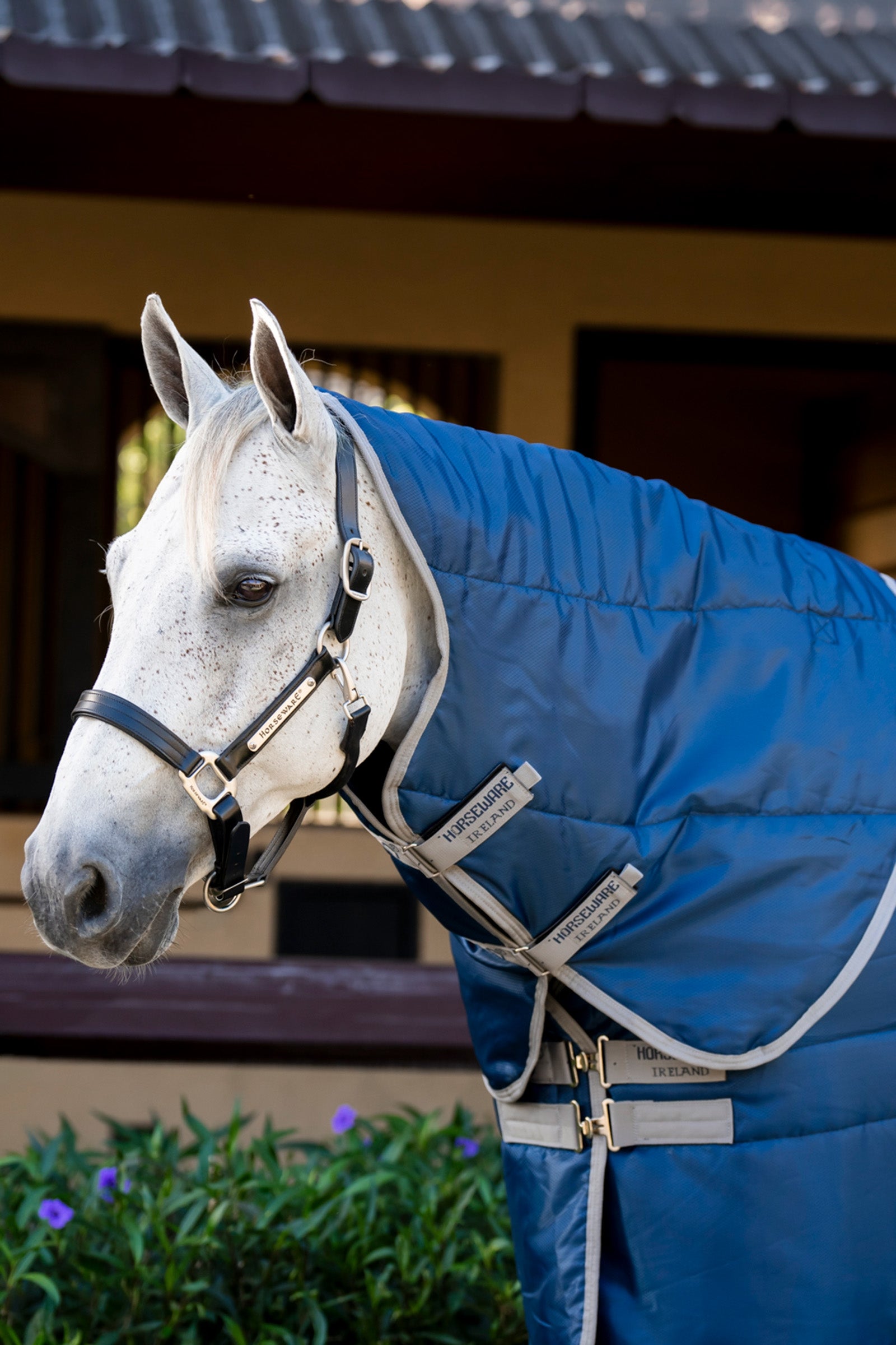 Horseware Amigo Ripstop Insulator stallkap, 100 g Paardendekens
