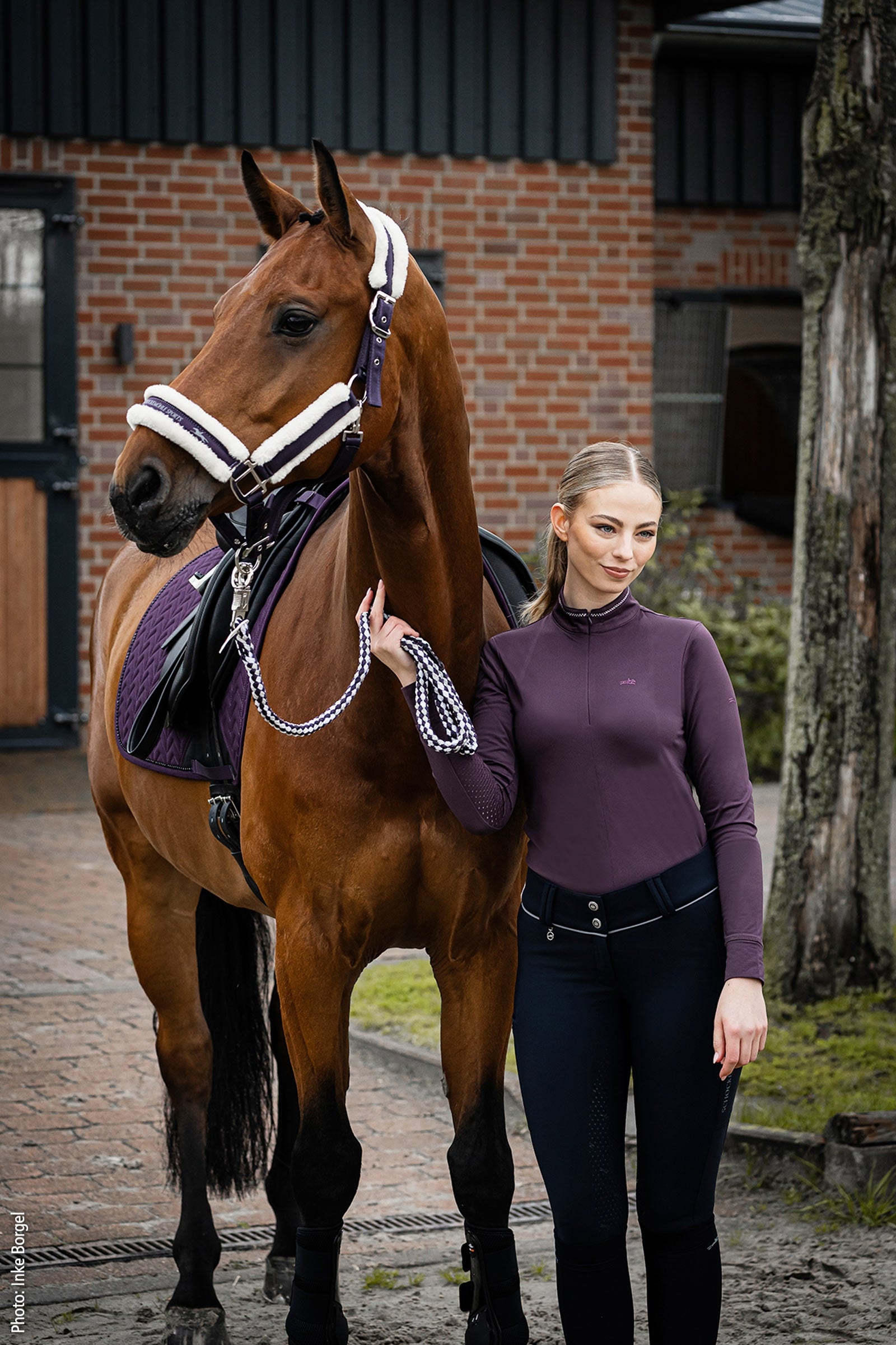Schockemöhle Sports Melbourne Style Halter Halters & Leads