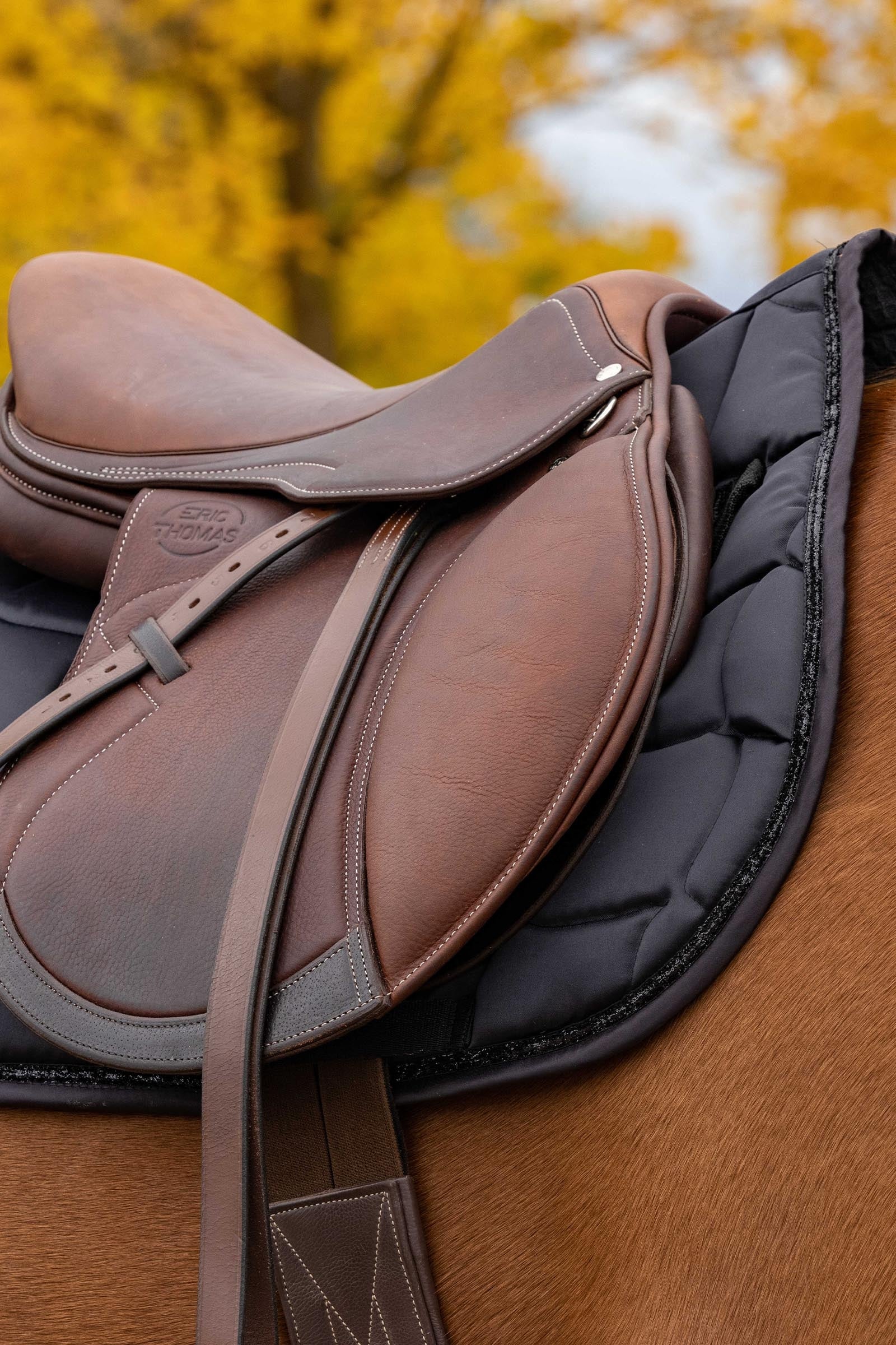 EQUITHÈME Satin All Purpose Saddle Pad Saddle Pads