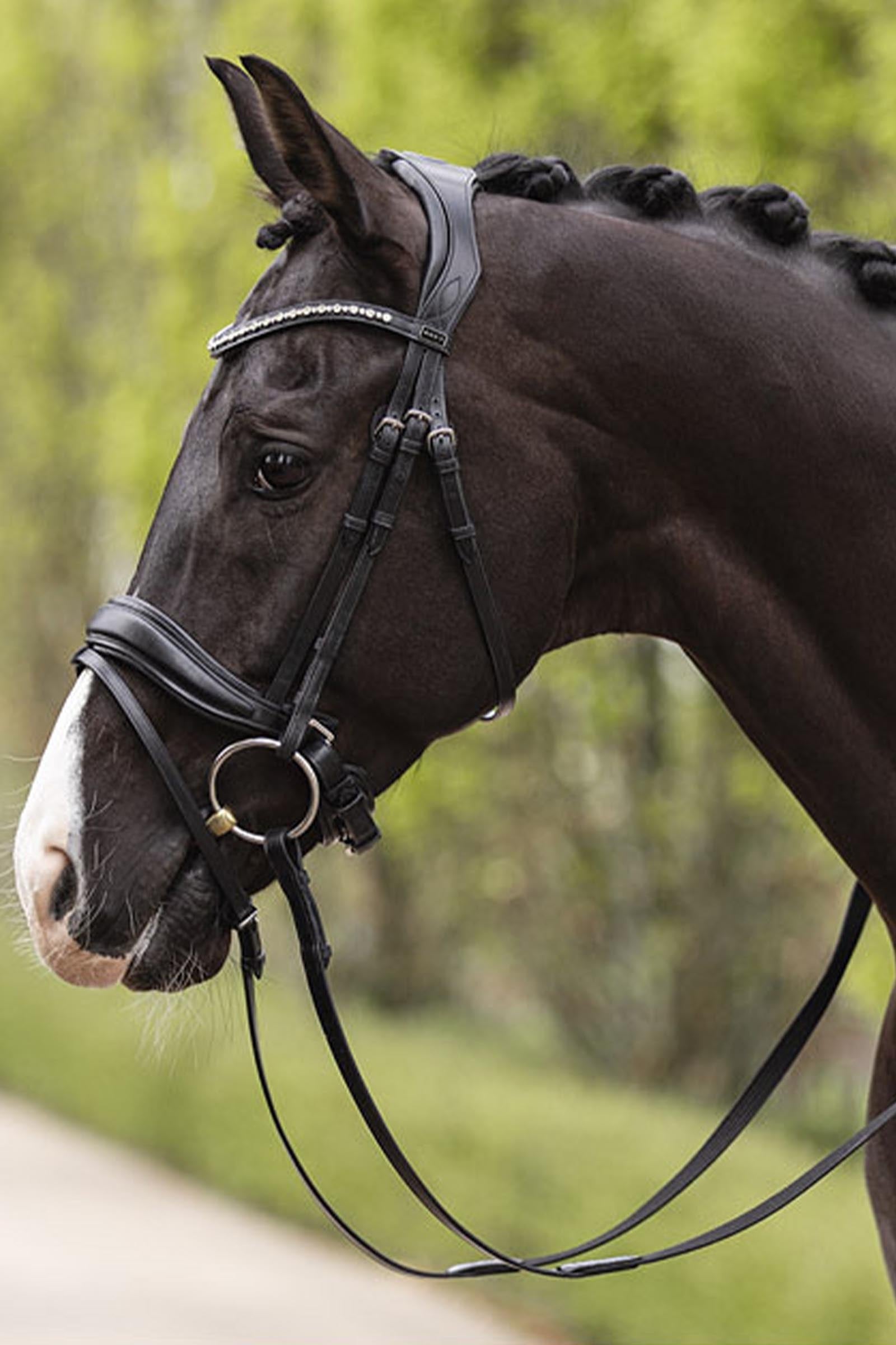Anky ANKY Comfort Line Bridle With Pull Back Bridles & Reins