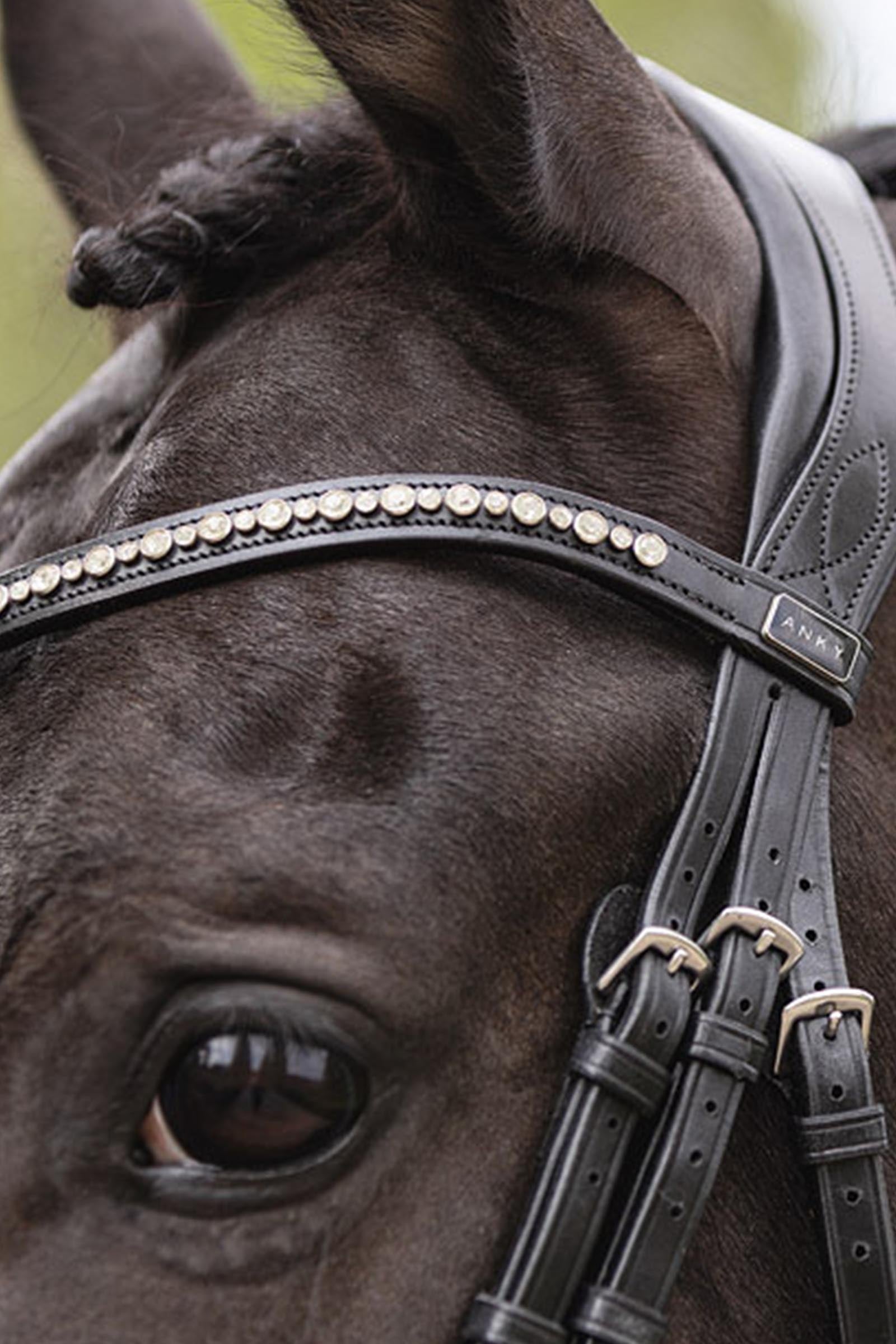 Anky ANKY Comfort Line Bridle With Pull Back Bridles & Reins