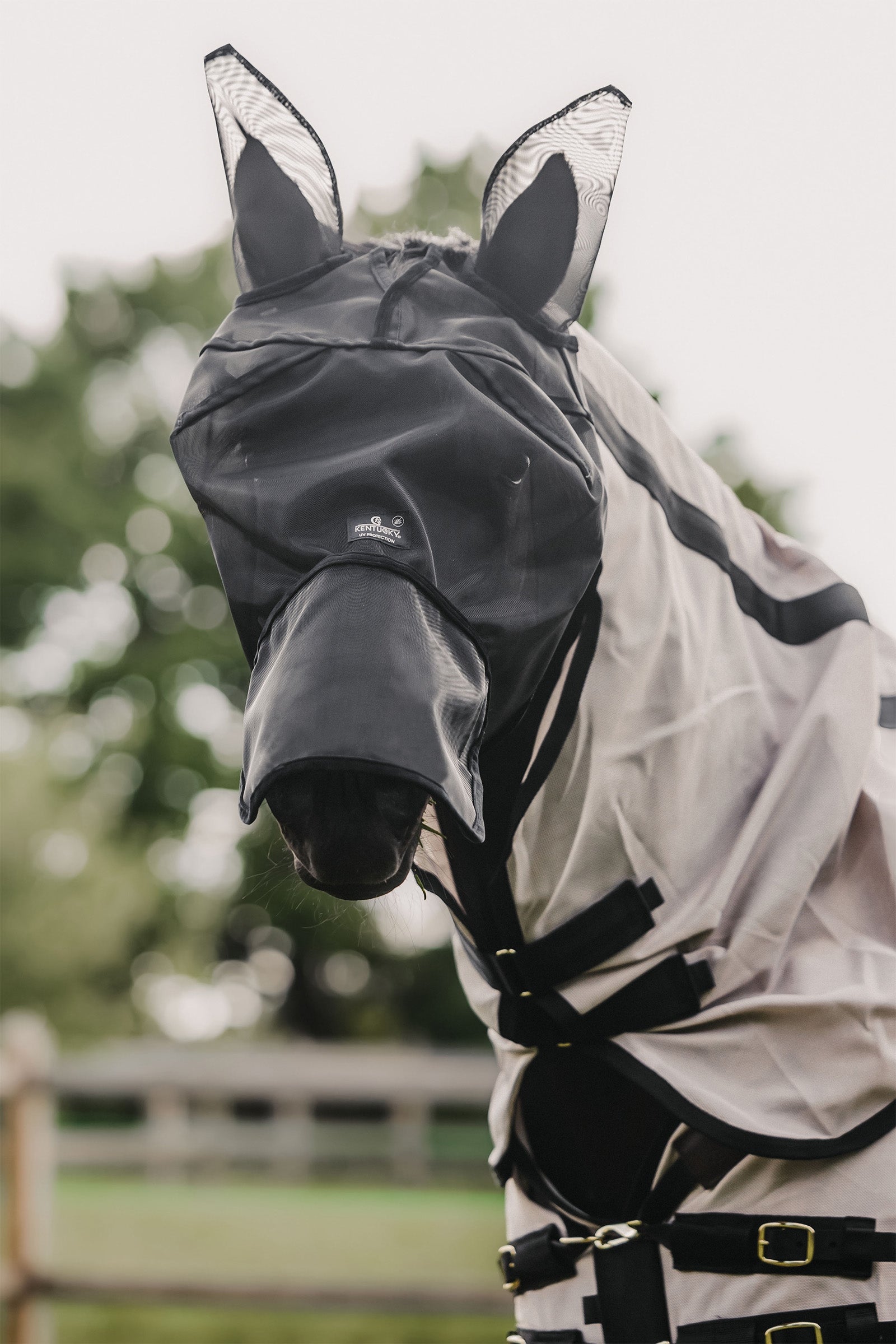 Kentucky Horsewear Classic vliegenmasker met oren en neusflap Vliegenbescherming
