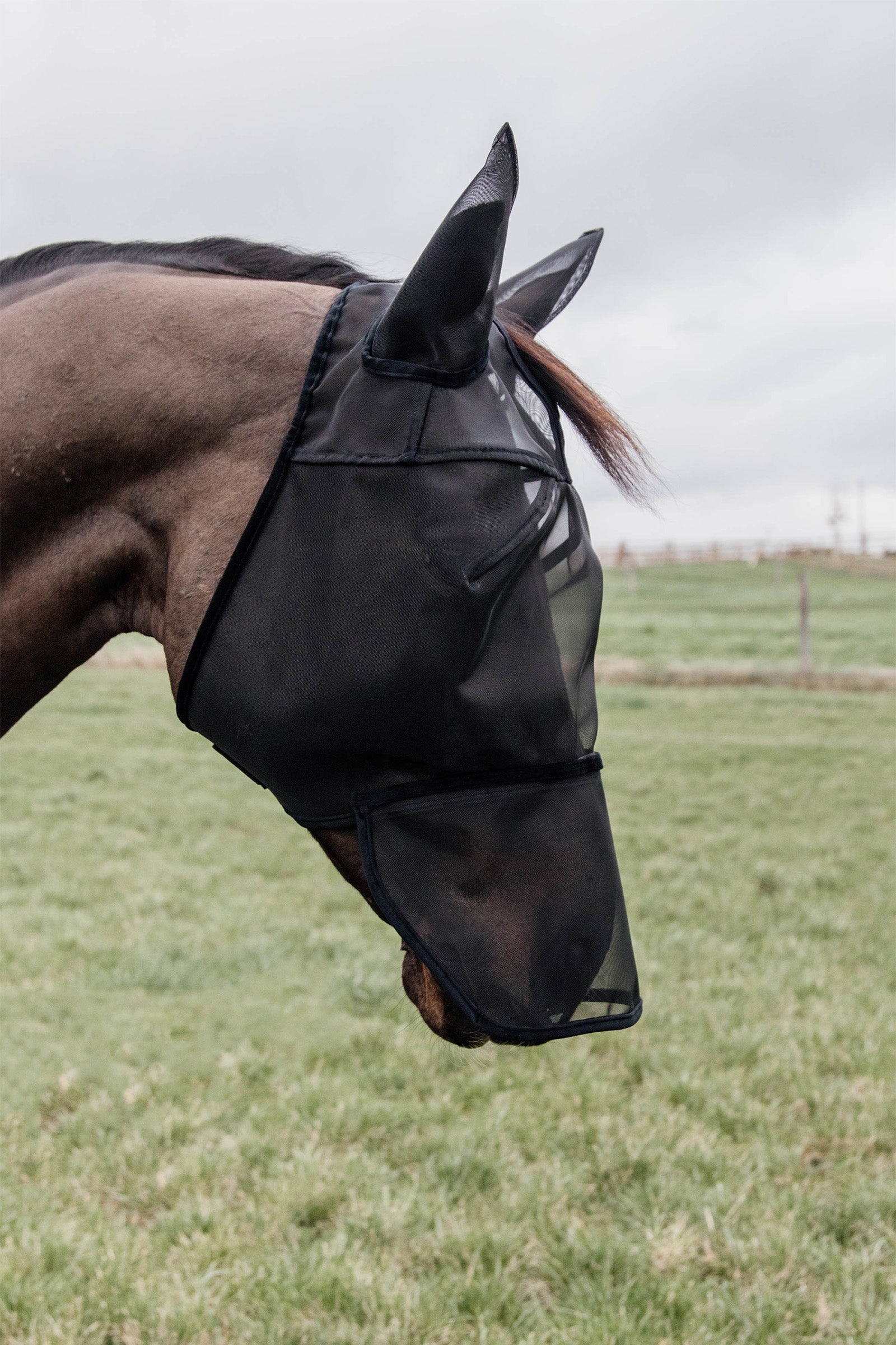 Kentucky Horsewear Fly Mask Classic with Ears and Nose Antifly Protection for Horses