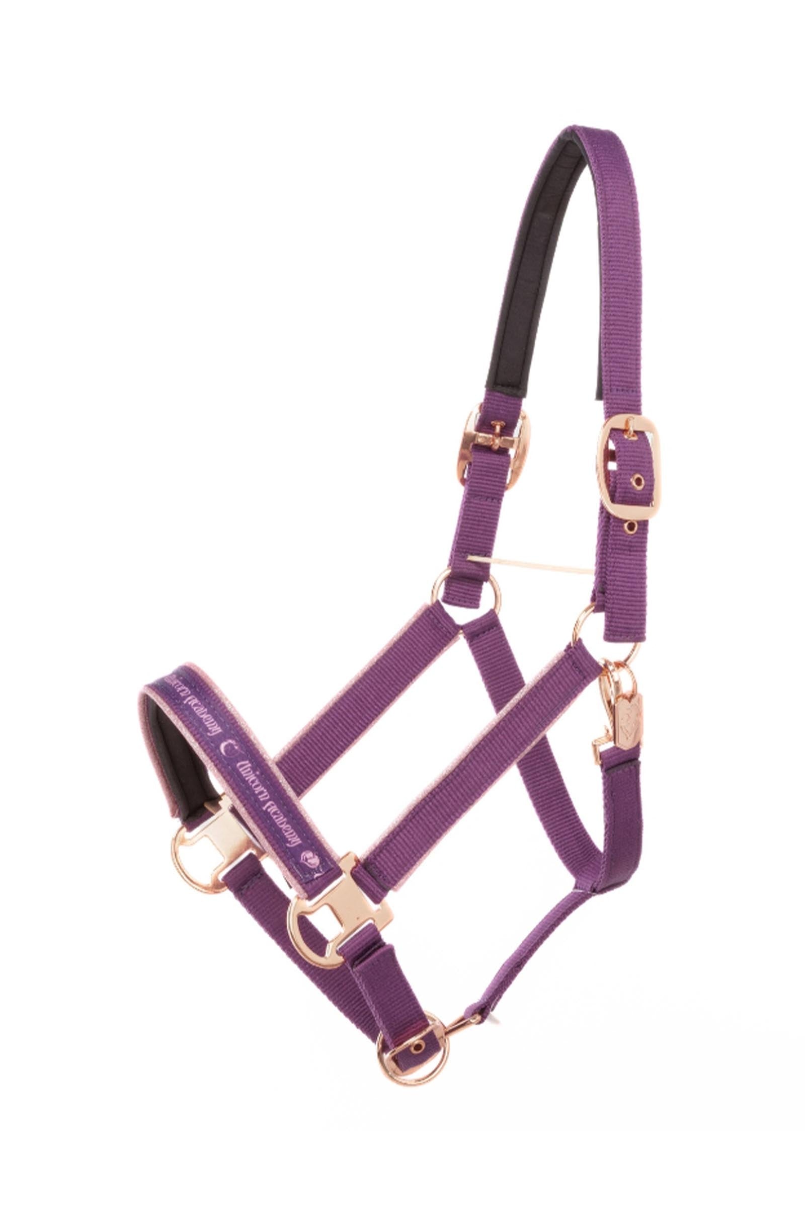Kavalkade Unicorn Academy halster met glitter Halsters & Halstertouwen