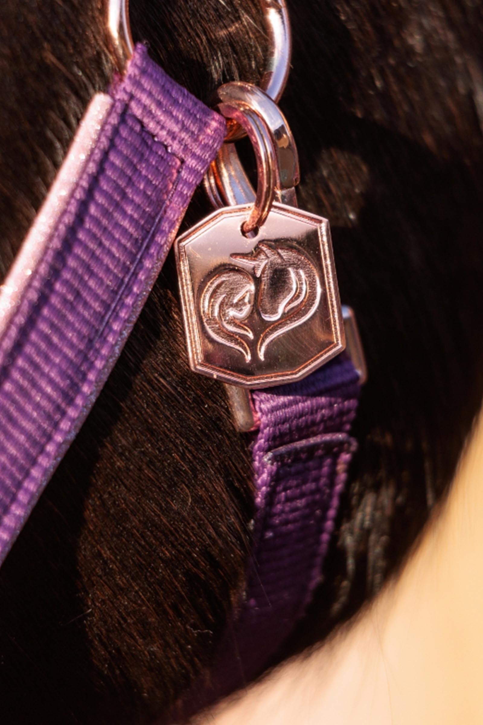 Kavalkade Unicorn Academy Halter With Glitter Halters & Leads