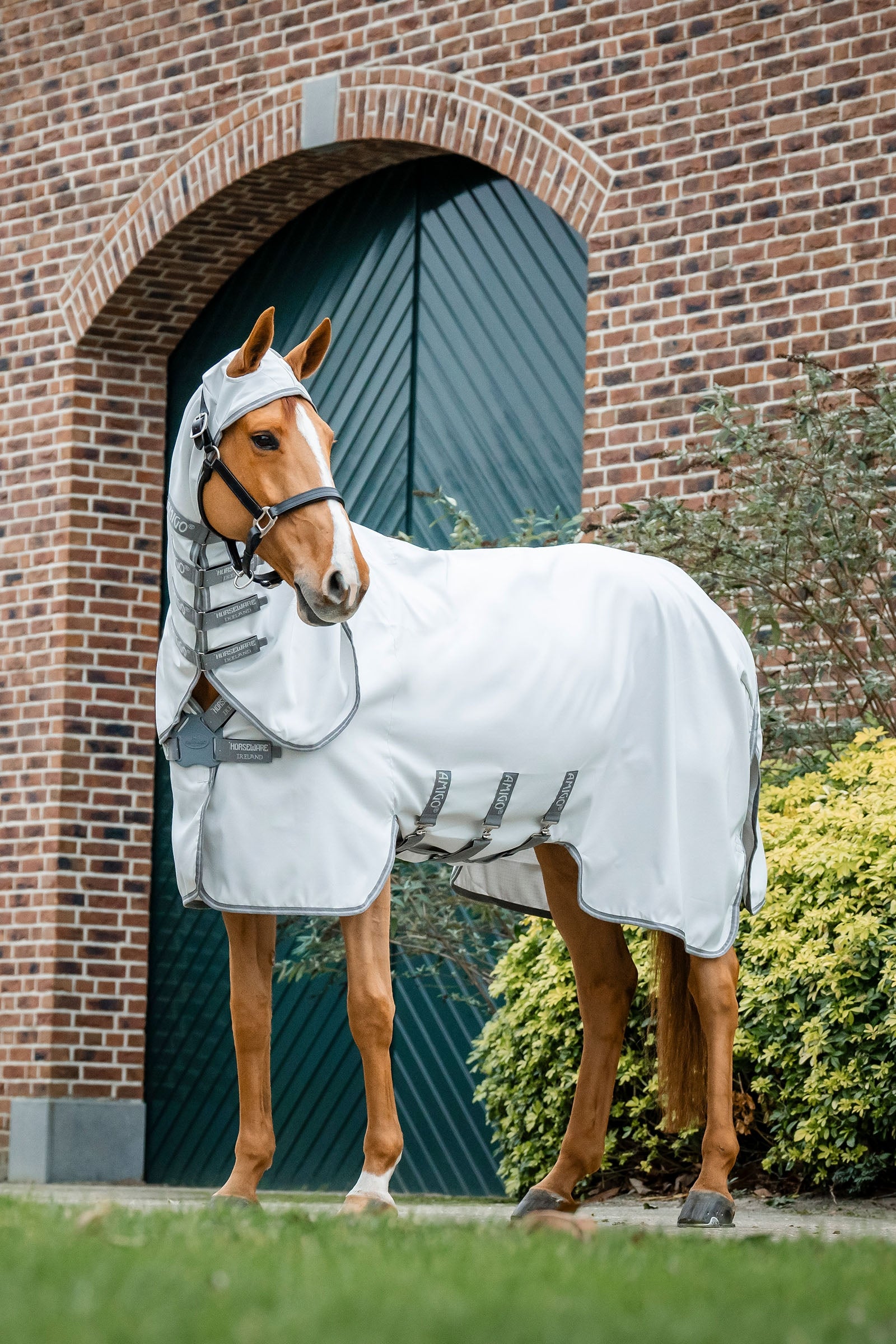 Horseware Amigo Ripstop Hoody Horse Rugs