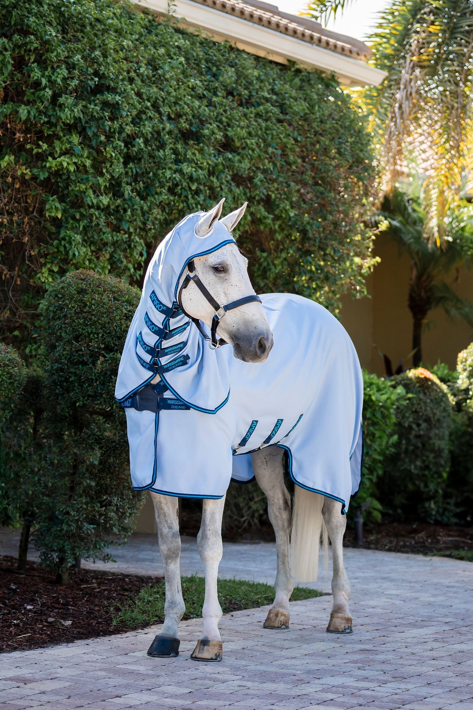 Horseware Amigo Ripstop Vliegendeken Paardendekens