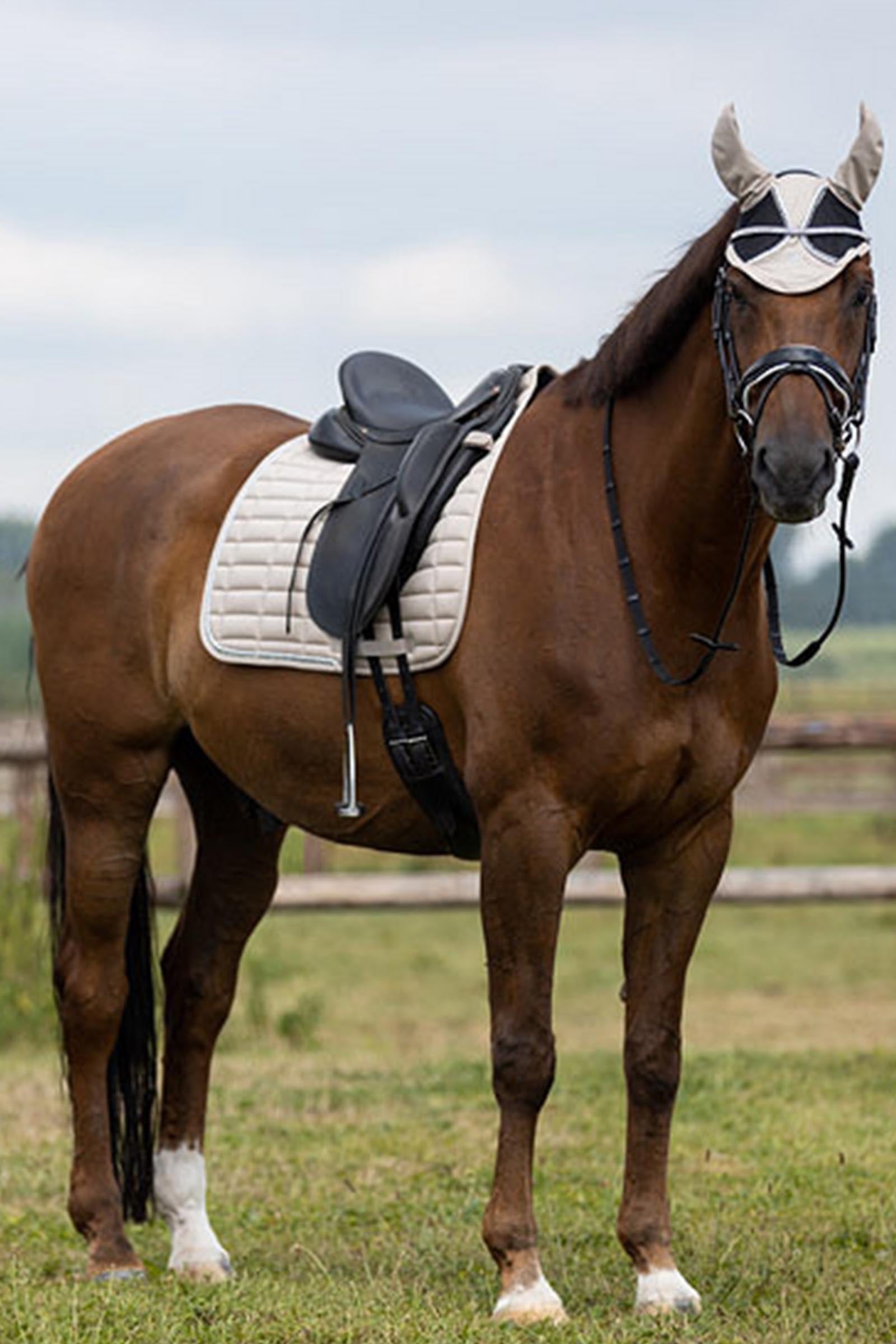 BR Glamour Chic Dressage Saddle Pad Saddle Pads