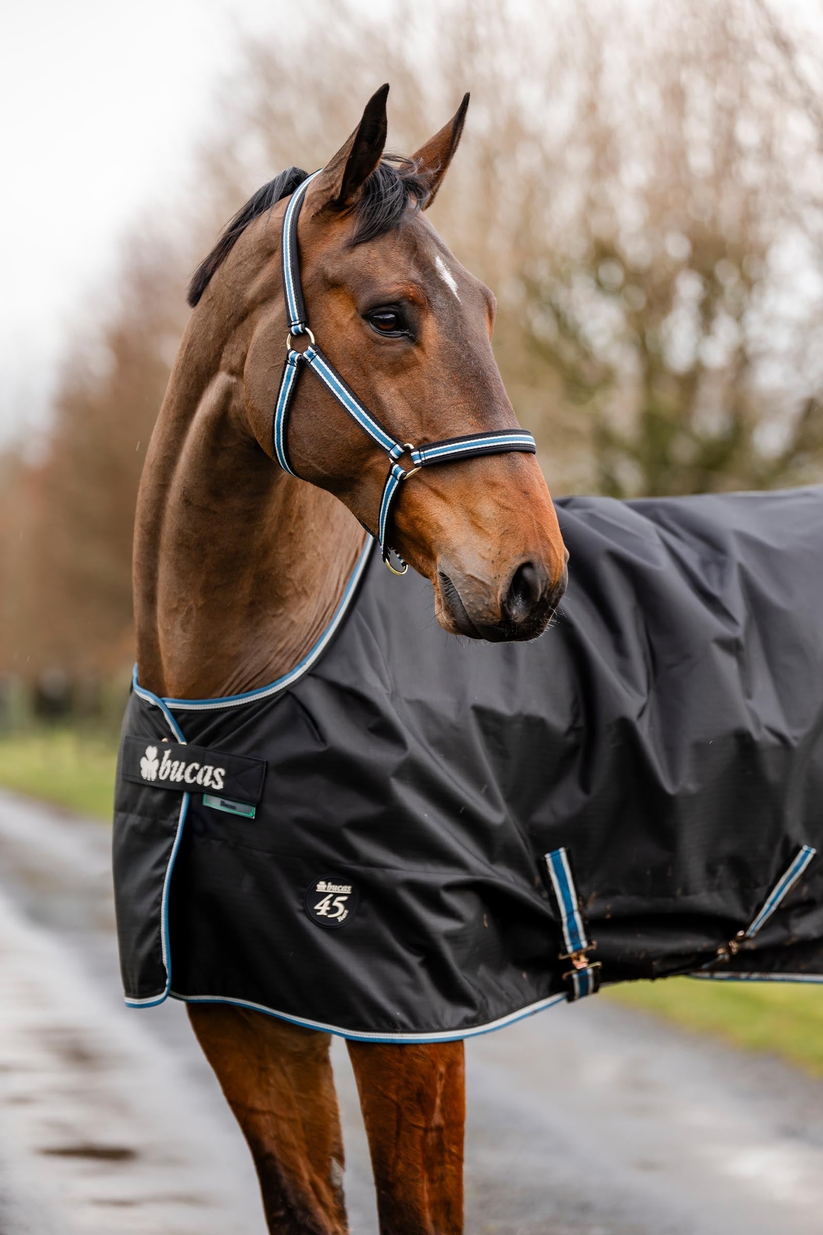 Bucas Anniversary SD Light Rain Turnout Rug, 0g Horse Rugs