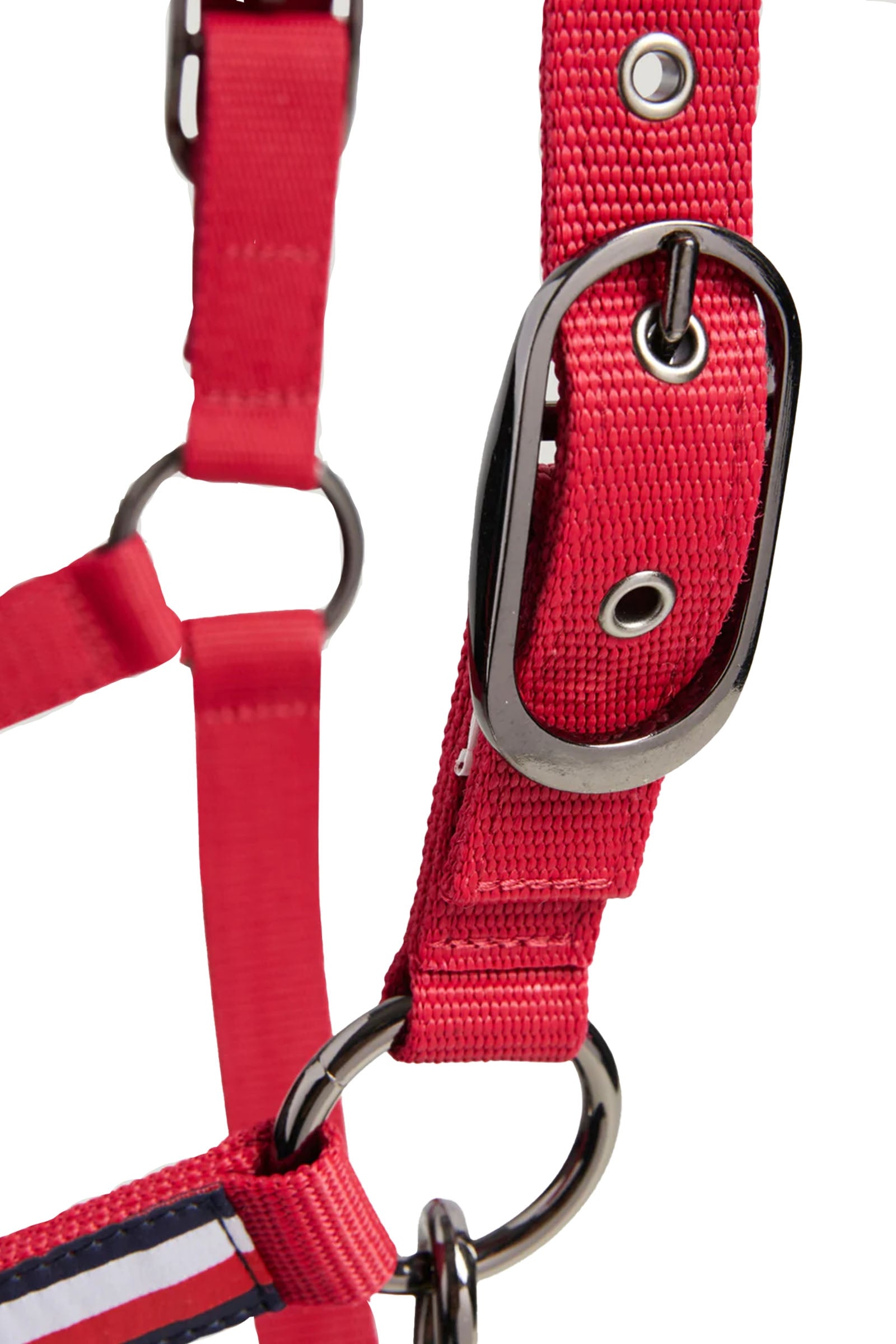 Tommy Hilfiger Equestrian Lincoln Halter Halters & Leads