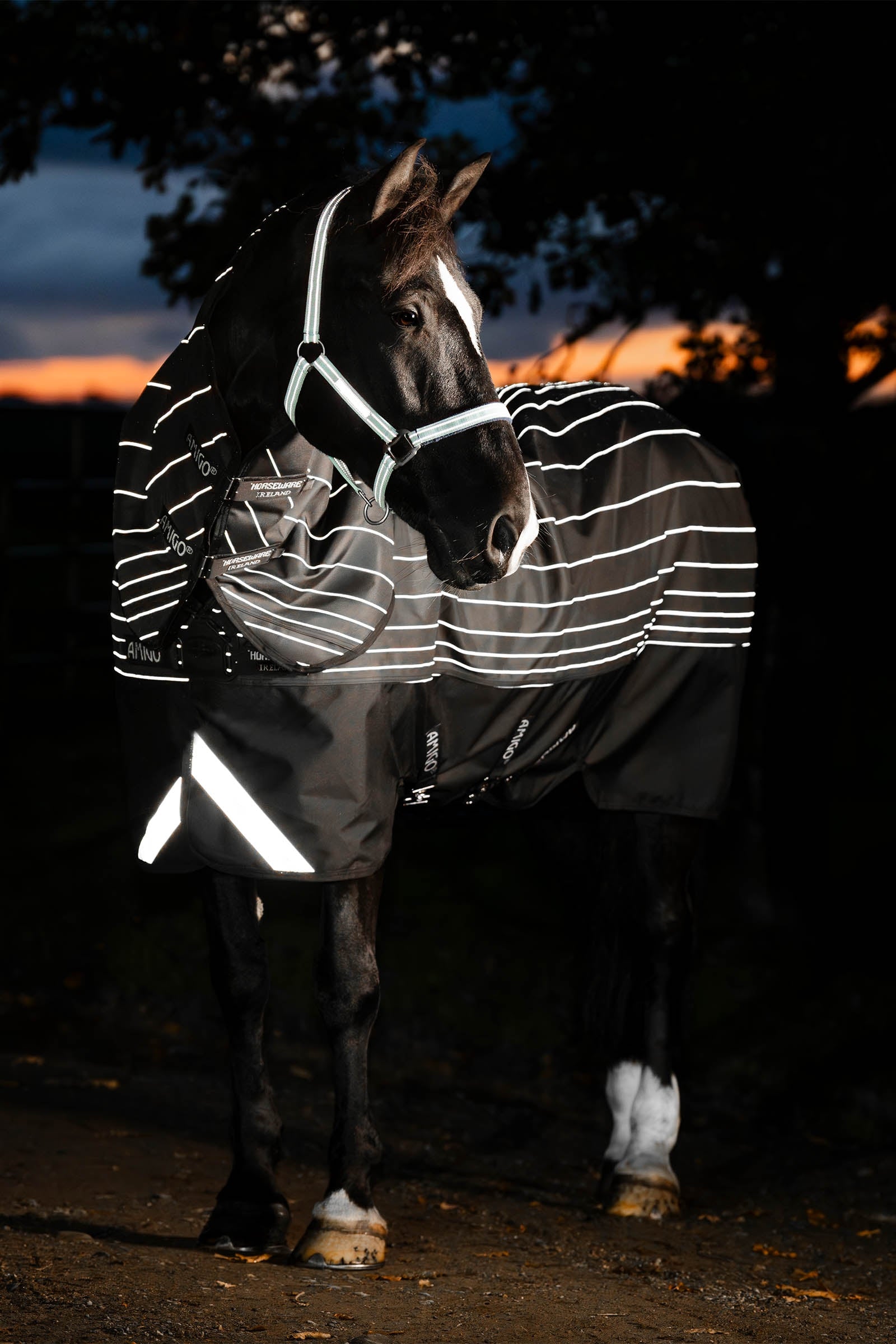Horseware Amigo 1200D FieldSafe Reflectech Plus buitendeken, 250 g Paardendekens