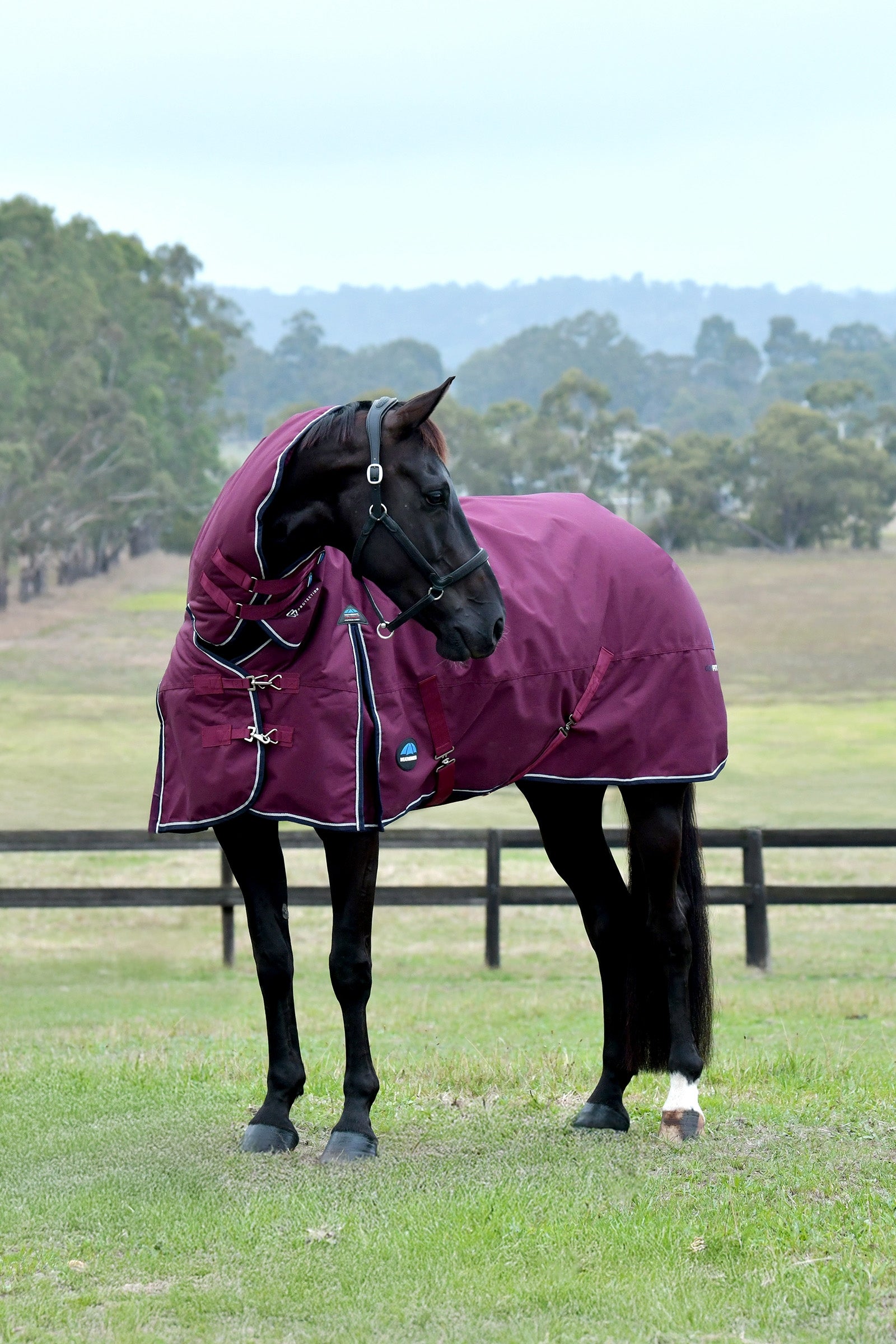 Weatherbeeta Comfitec Essential Turnout Rug With Fixed Neck, 220g Horse Rugs