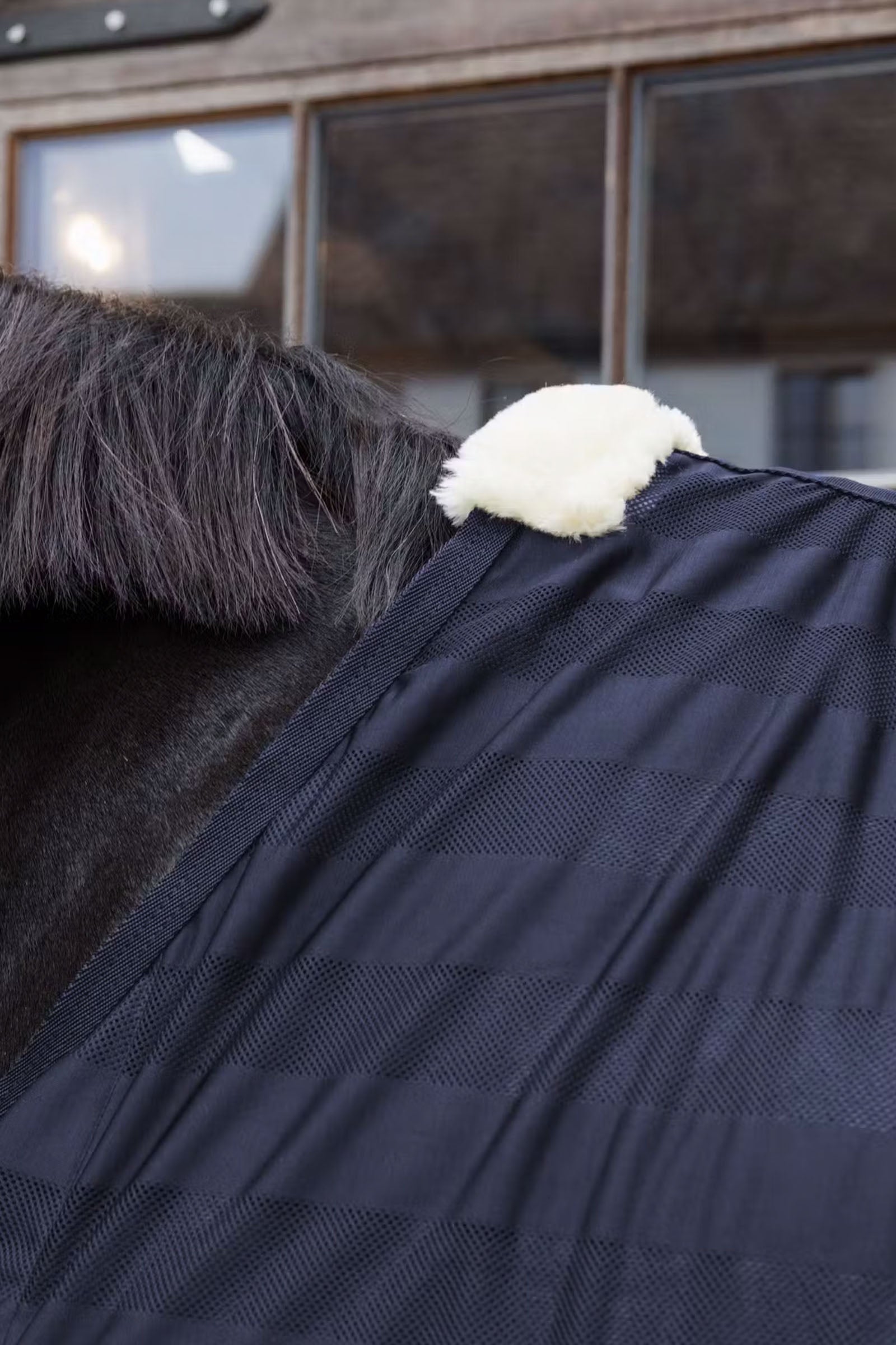 Kentucky Horsewear Light striped Mesh fly sheet Horse Rugs