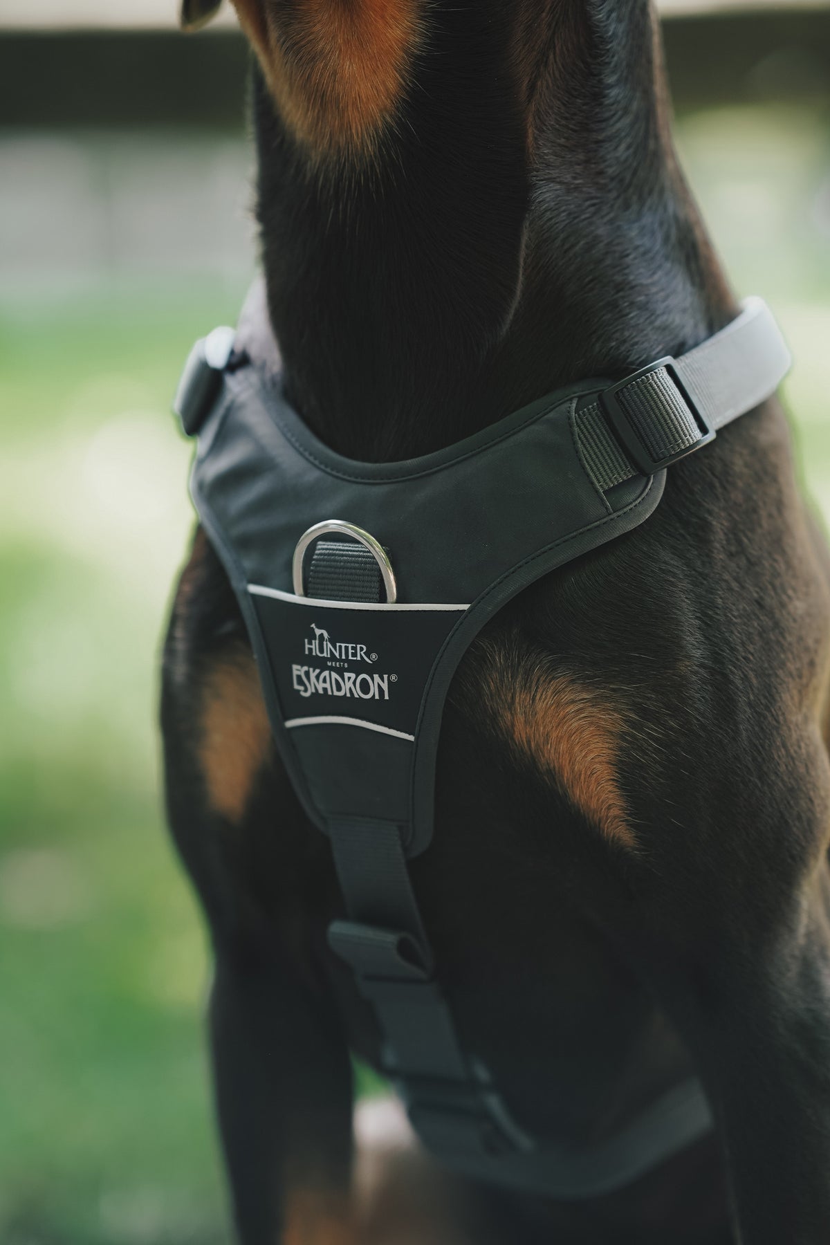 Eskadron Hunter x ESKADRON MOTION REFLECT Dog Harness Dog Accesories