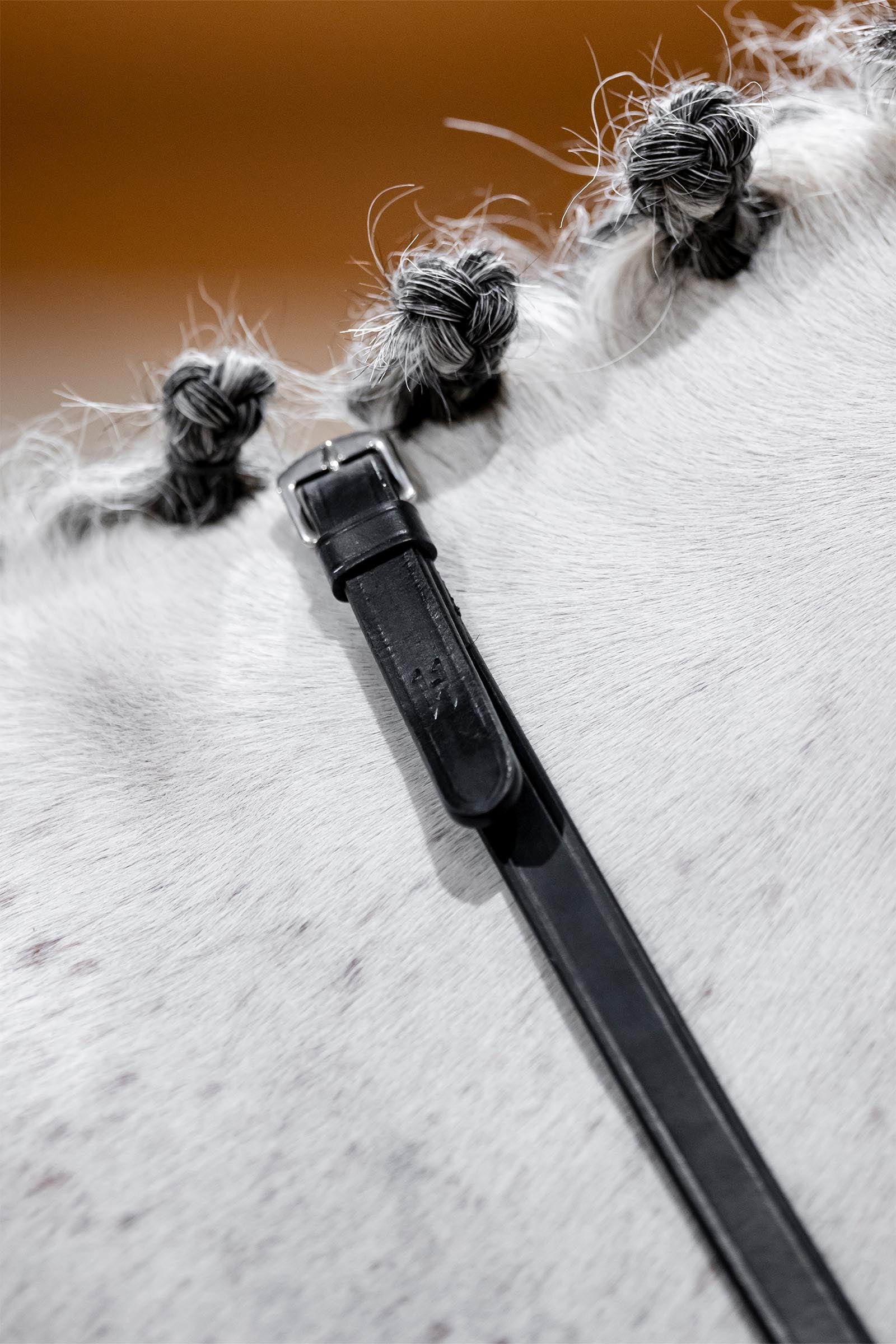 Horseware stangteugels Hoofdstellen & Teugels