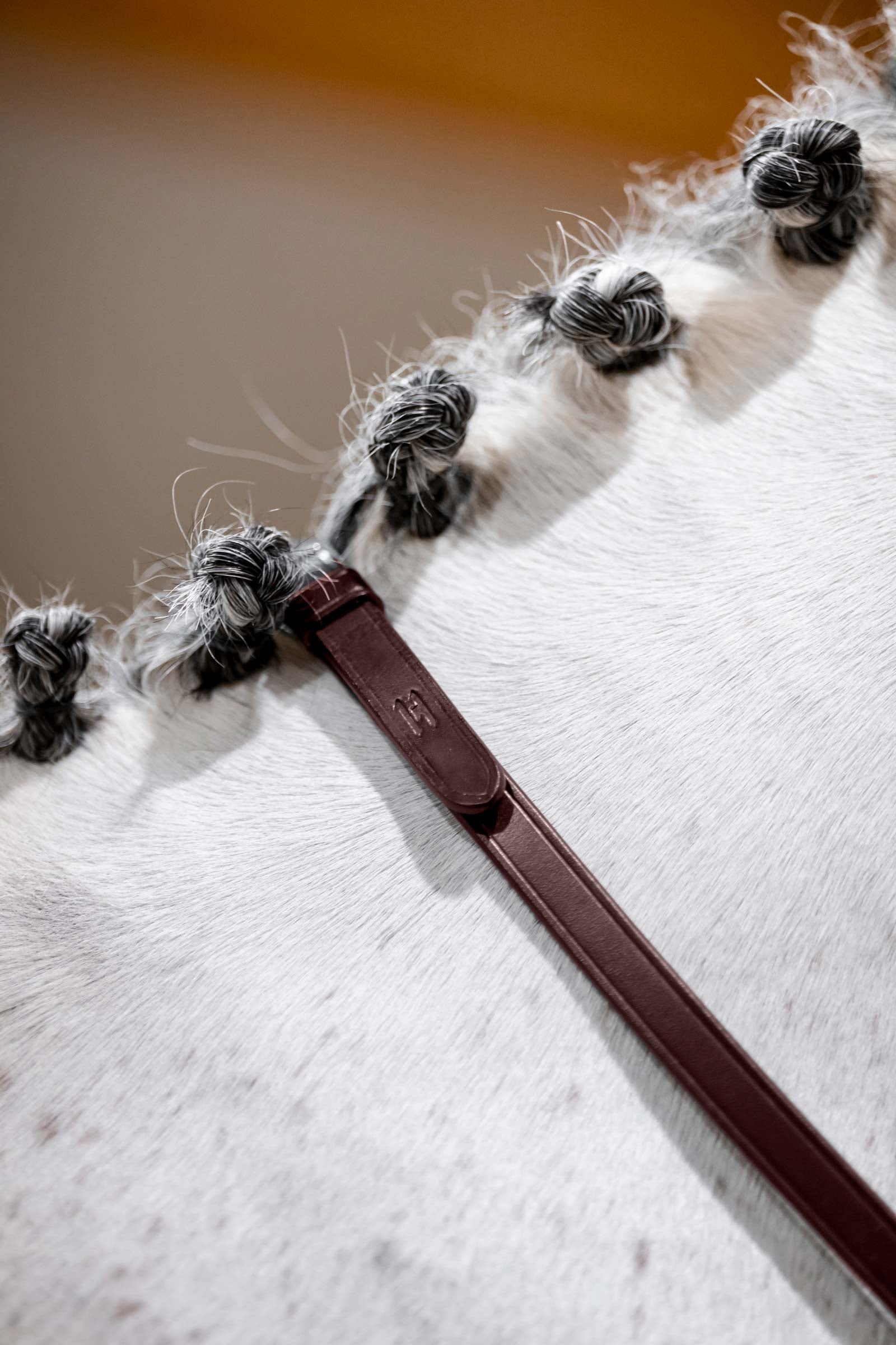 Horseware stangteugels Hoofdstellen & Teugels
