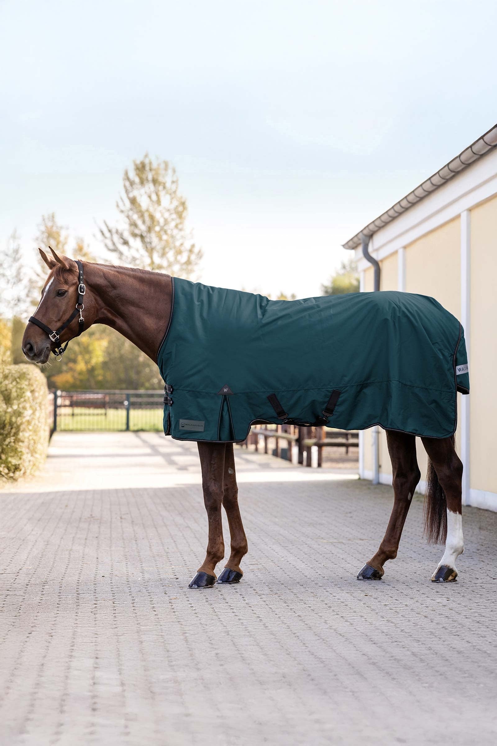 Waldhausen Arctic Outdoor Rug, 100 g Paardendekens