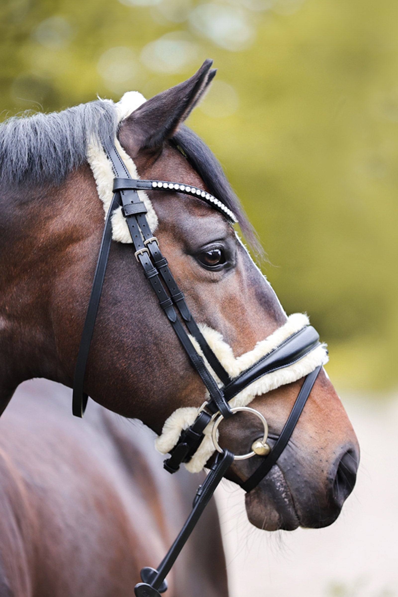 Kavalkade Joyce KavalSH4 Bridle Bridles & Reins