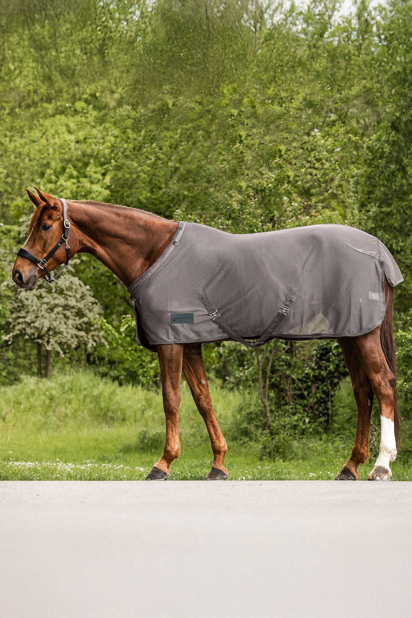 Waldhausen Comfort vliegendeken Paardendekens