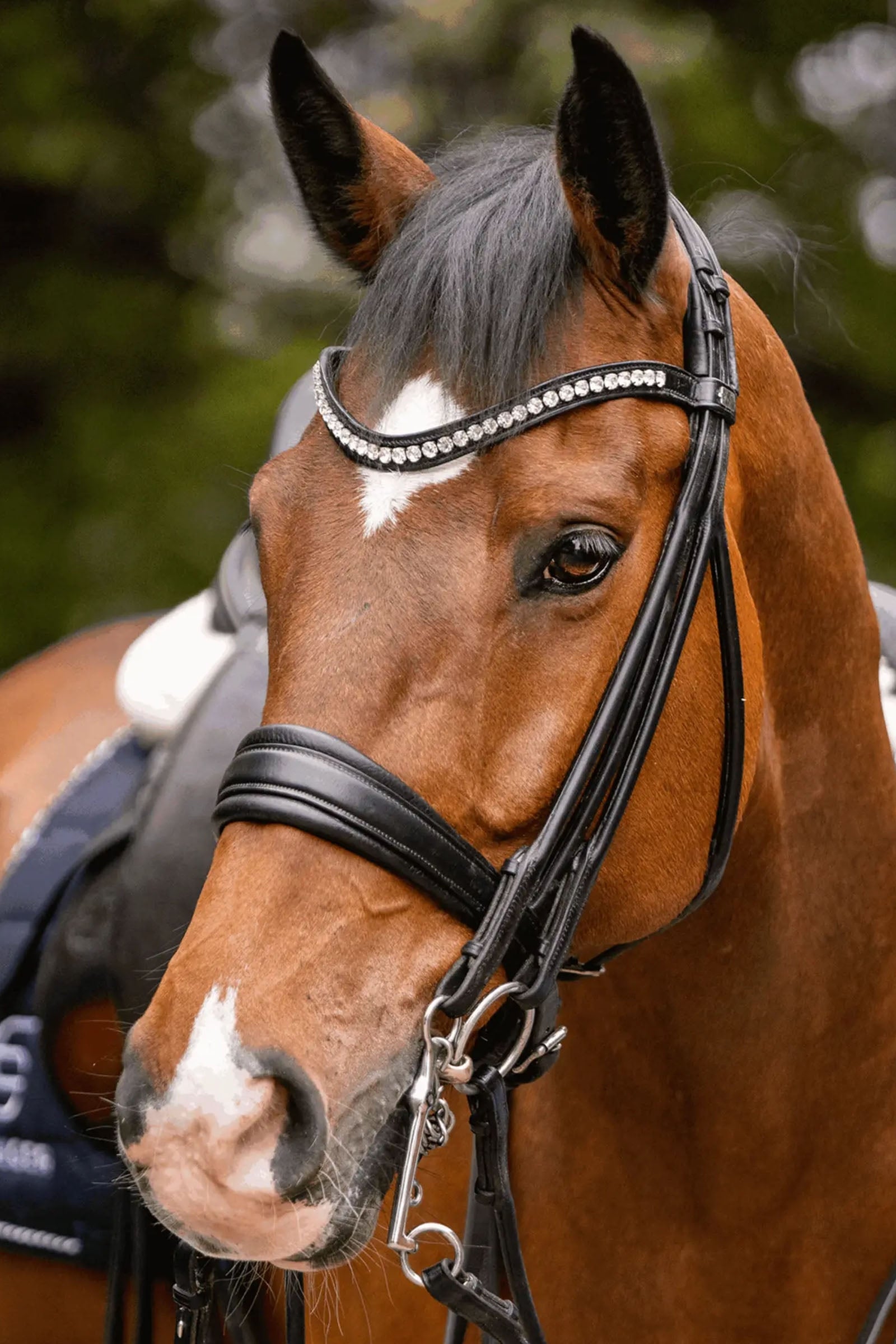 Sprenger Novocontact Weymouth 14mm Sensogan with 7cm Stainless Steel Cheeks Horse Bits