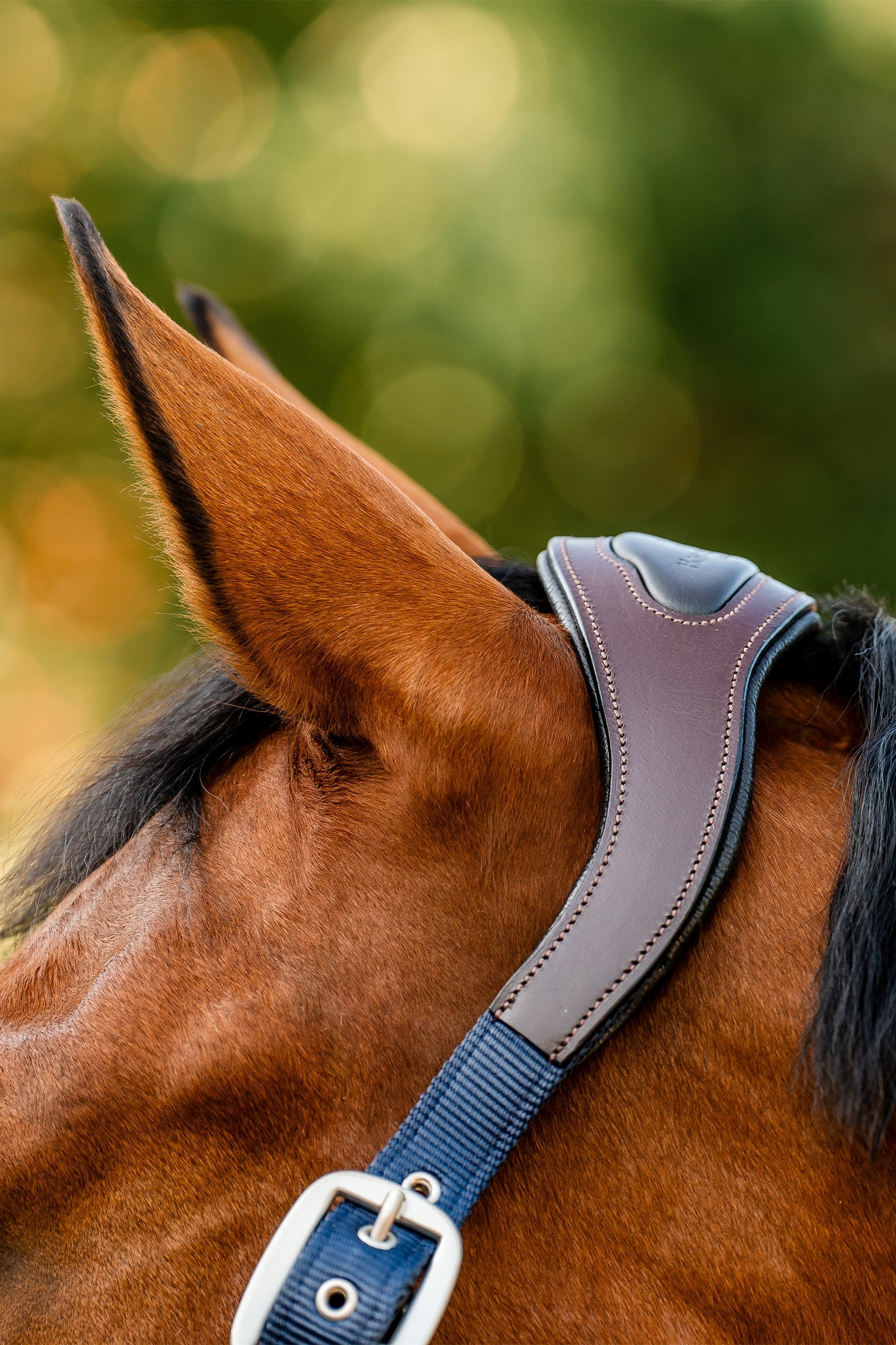 Horseware Signature Competition Headcollar Halters & Leads