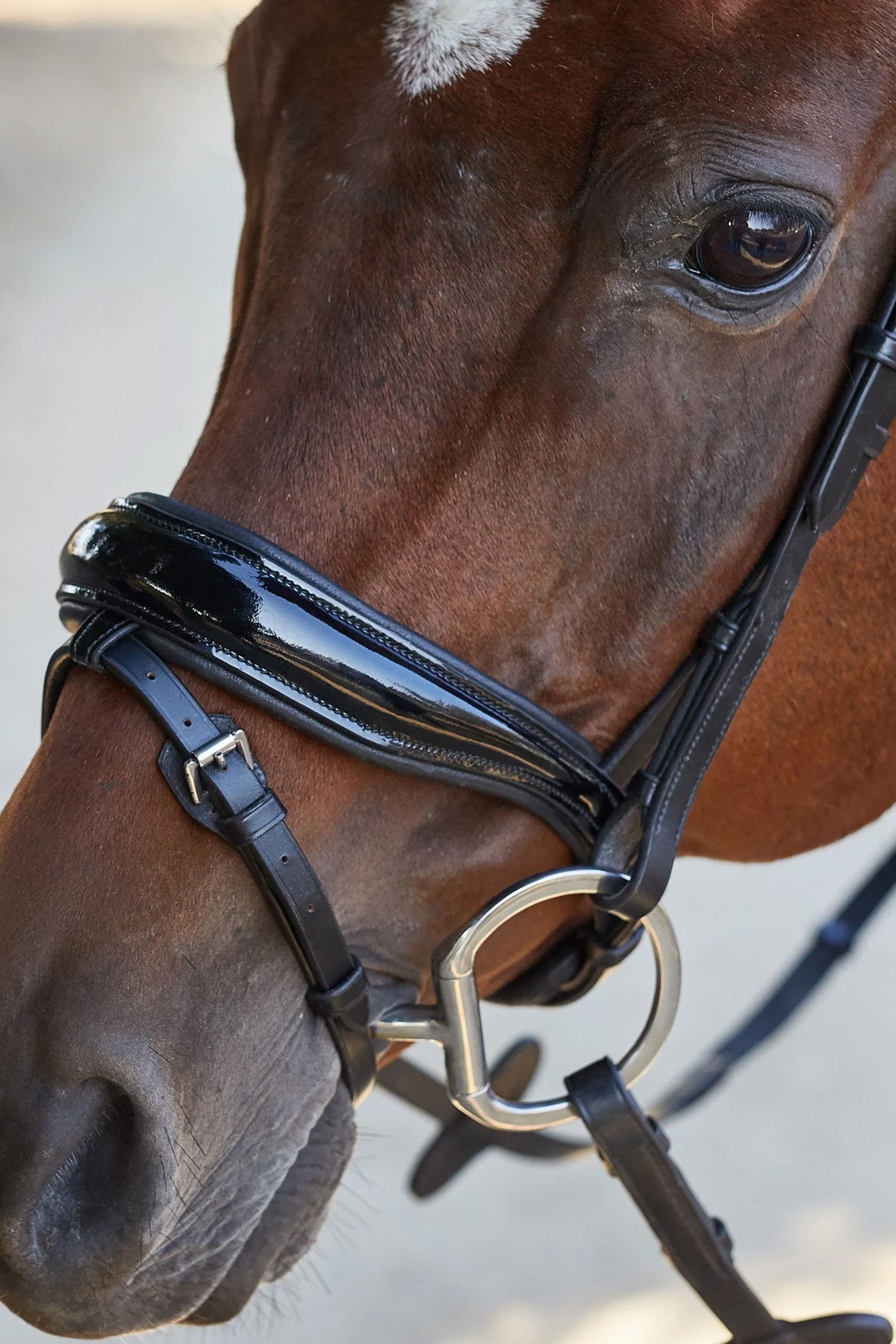 Kavalkade Charlotte Dressage Bridle Crank Noseband Bridles & Reins