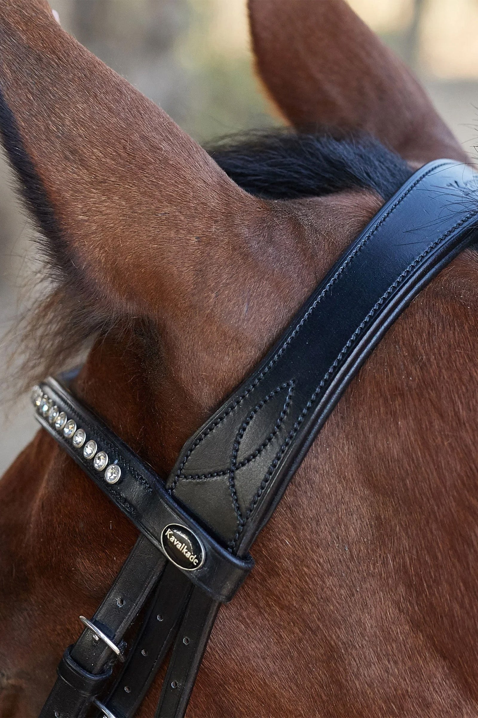 Kavalkade Charlotte Dressage Bridle Crank Noseband Bridles & Reins