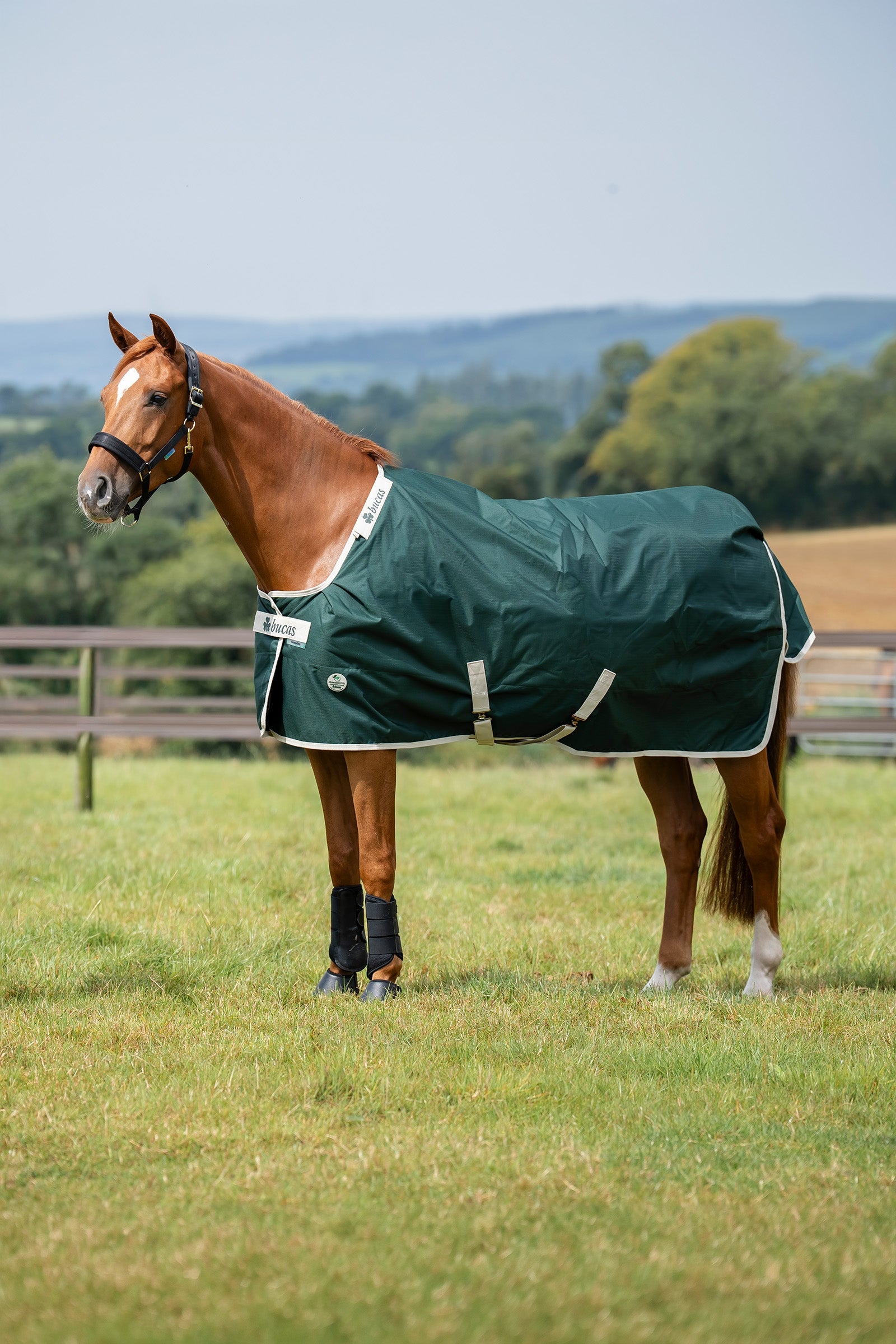 Bucas Green-Line Turnout 100g Horse Rugs