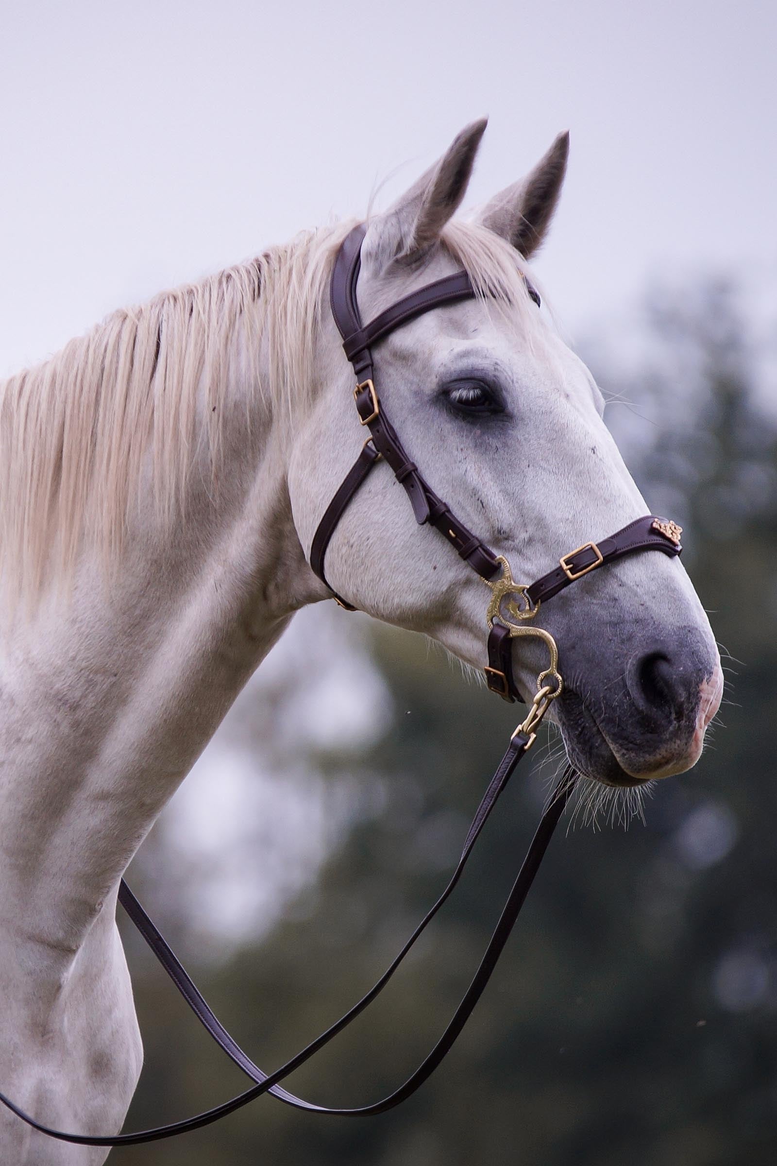 F.R.A. Freedom Riding Articles Imperial Hackamore Bridle With Reins (System 2) Shire Bridles & Reins