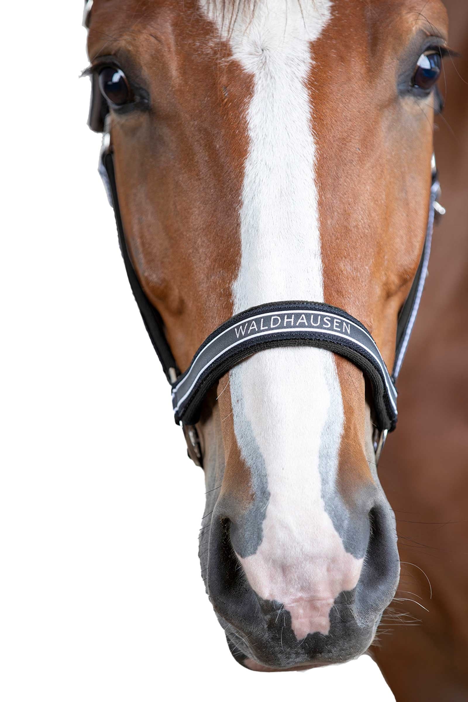 Waldhausen Athletic Halter Halters & Leads