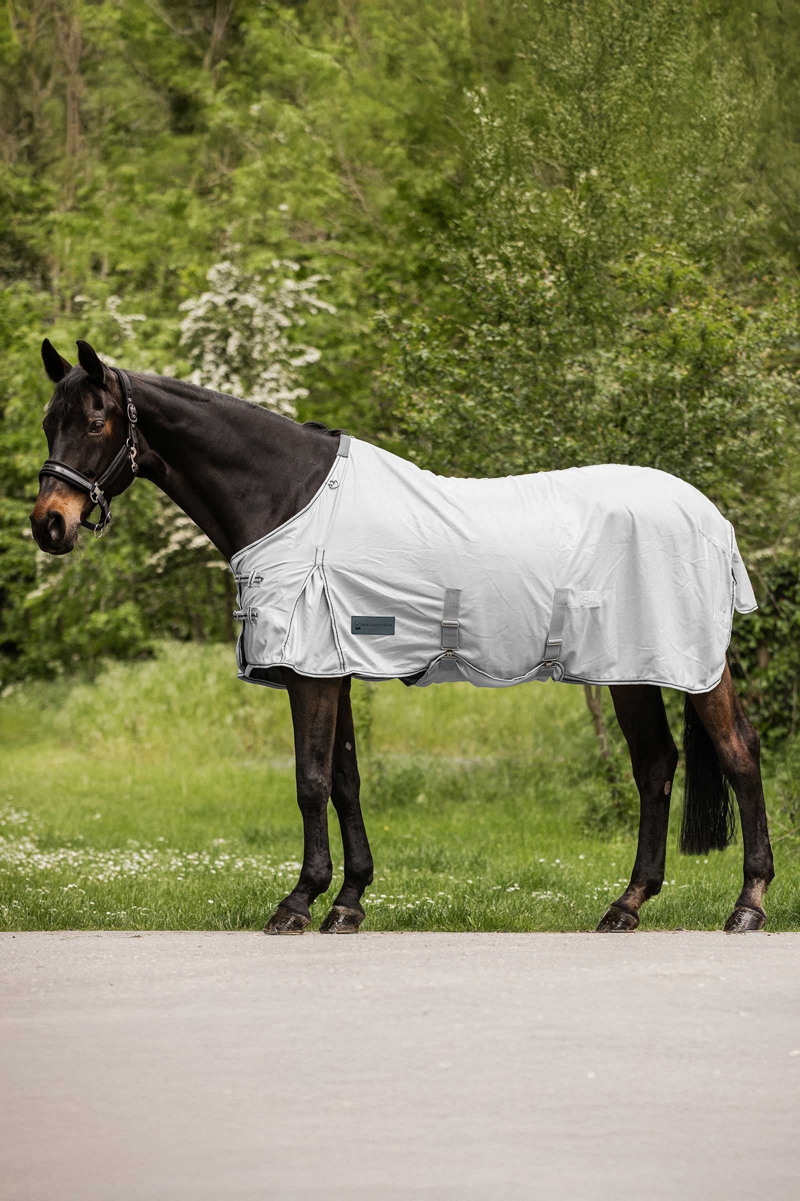 Waldhausen Protect Fly Rug Horse Rugs