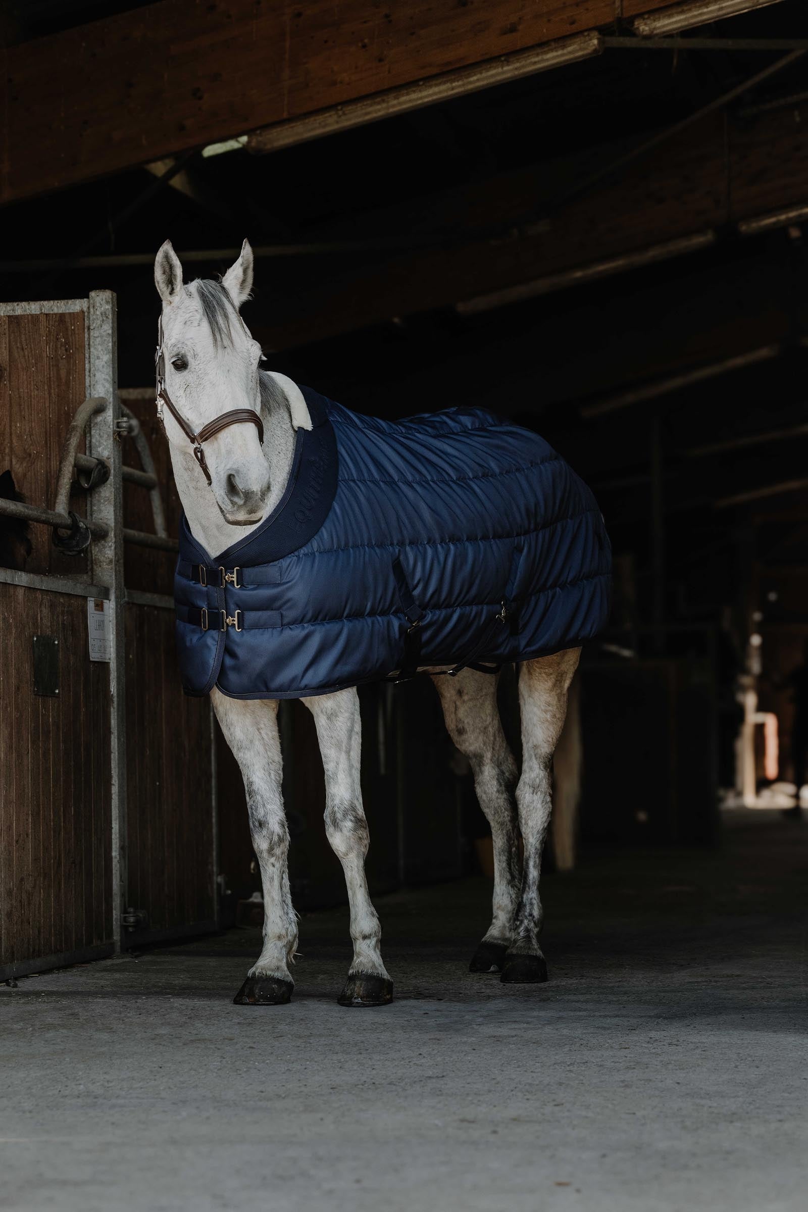 Equi Theme EQUITHÈME Confortech Stable Rug, 200 g Horse Rugs
