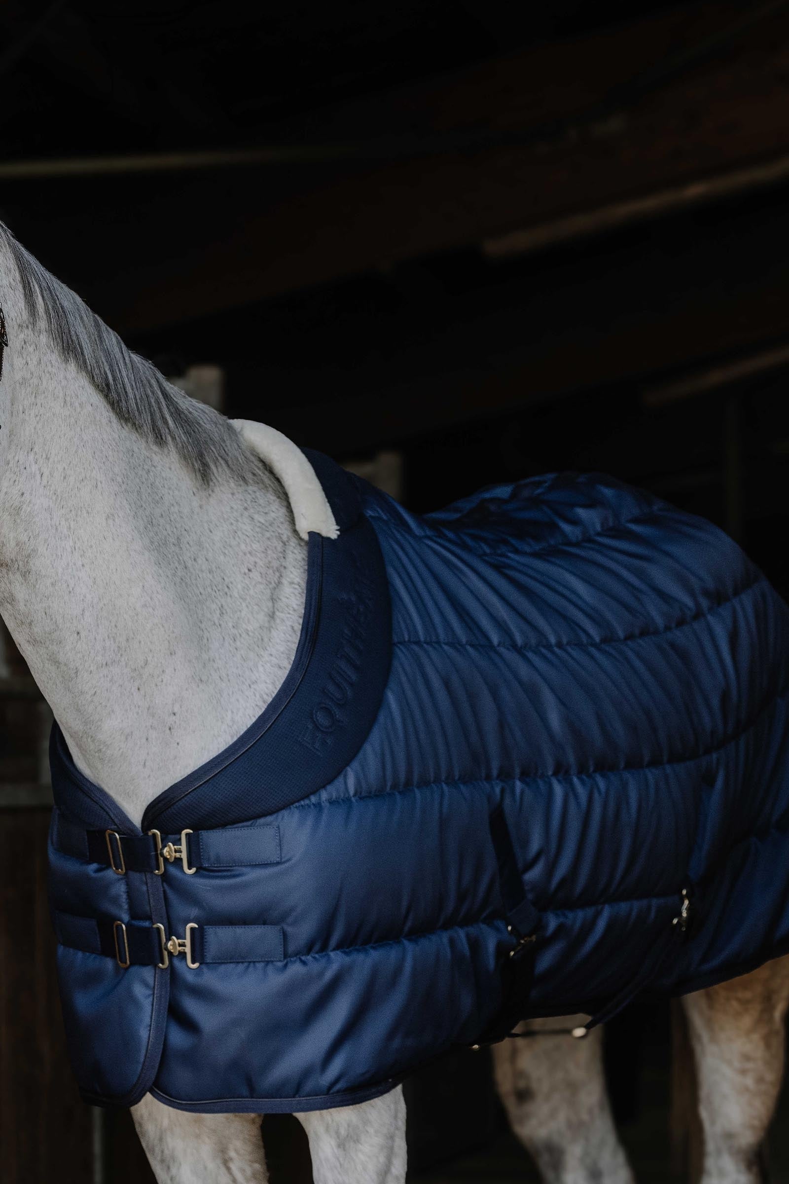 Equi Theme EQUITHÈME Confortech Stable Rug, 200 g Horse Rugs