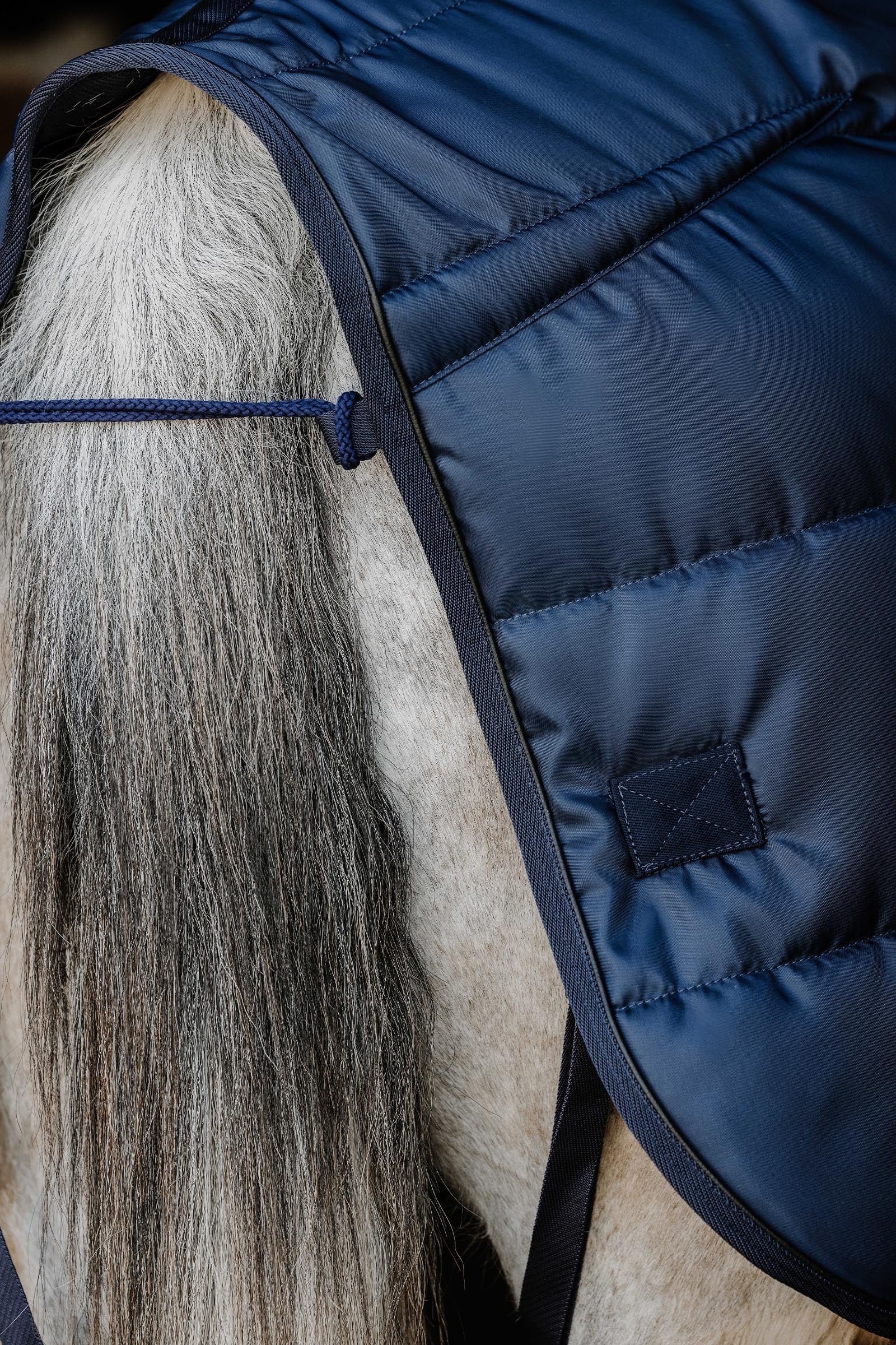 Equi Theme EQUITHÈME Confortech Stable Rug, 200 g Horse Rugs