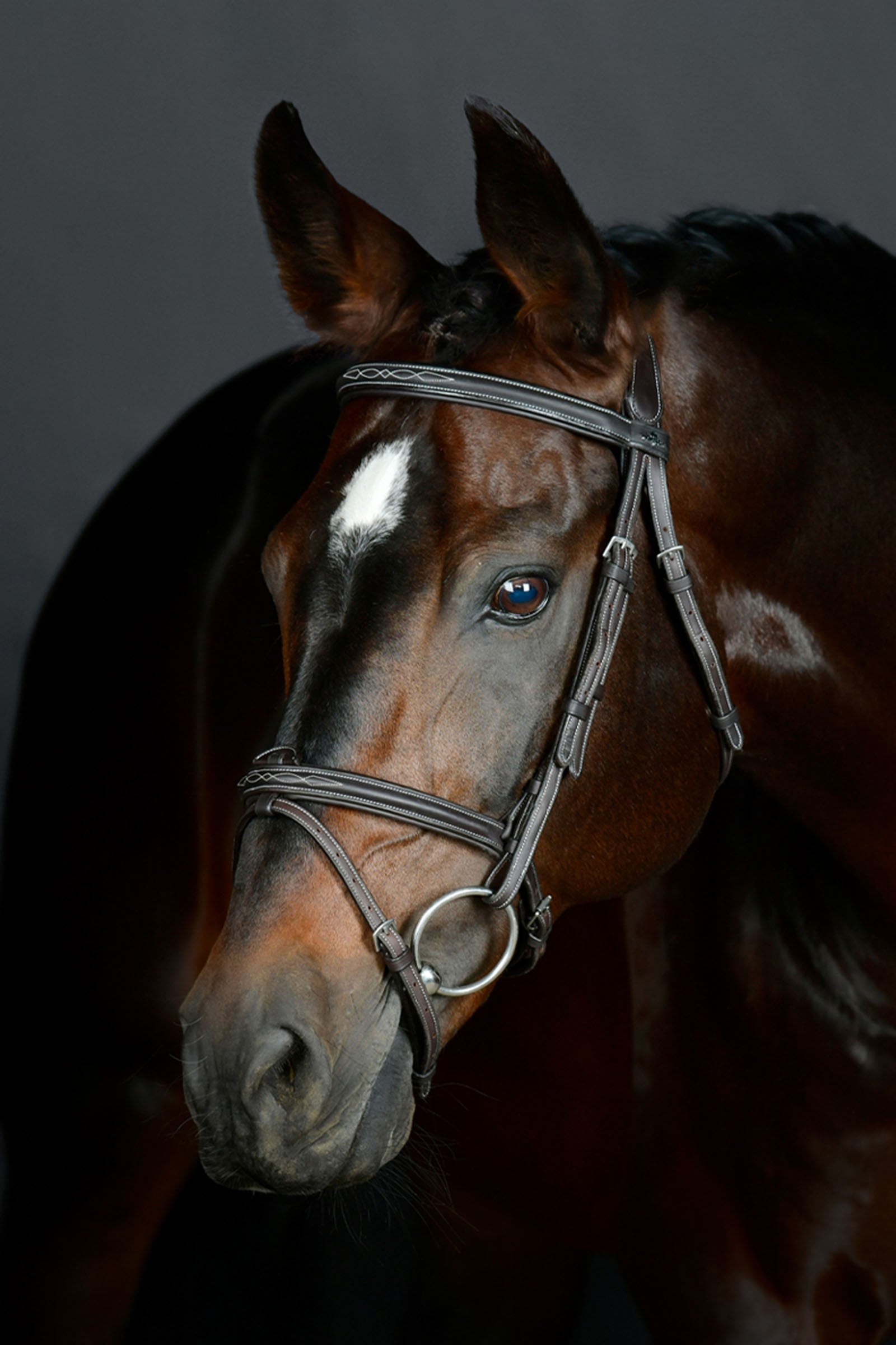 Collegiate Comfitec Opulux Fancy Stitch gevoerd Hannoveraans hoofdstel Hoofdstellen & Teugels