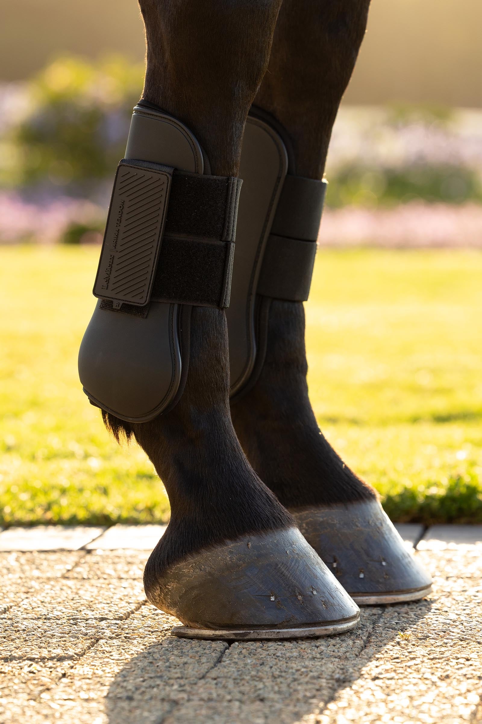LeMieux Arika Tendon Boots Leg & Hoof Protection