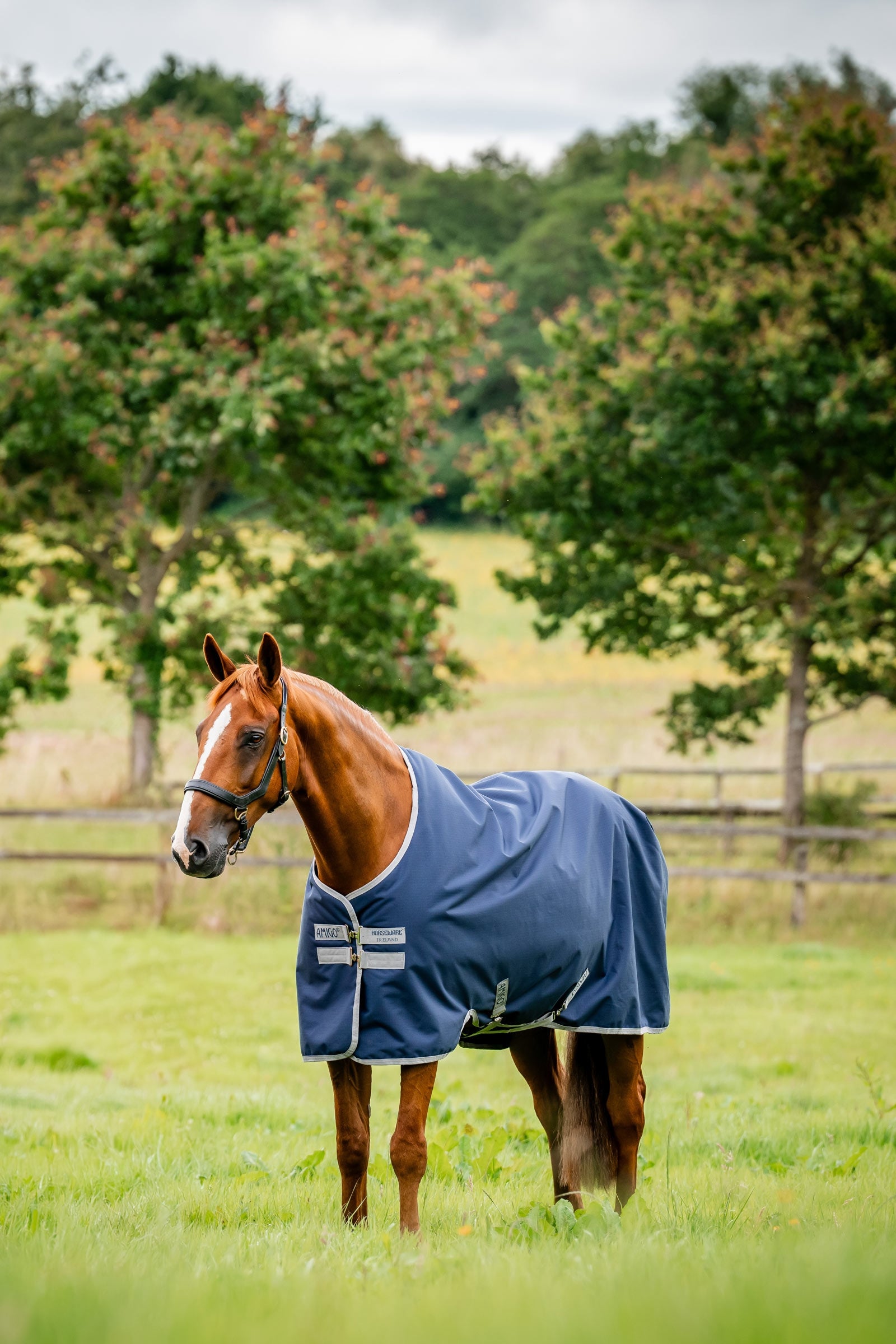 Horseware Amigo Ripstop Outdoordeken 900D, 0g Paardendekens