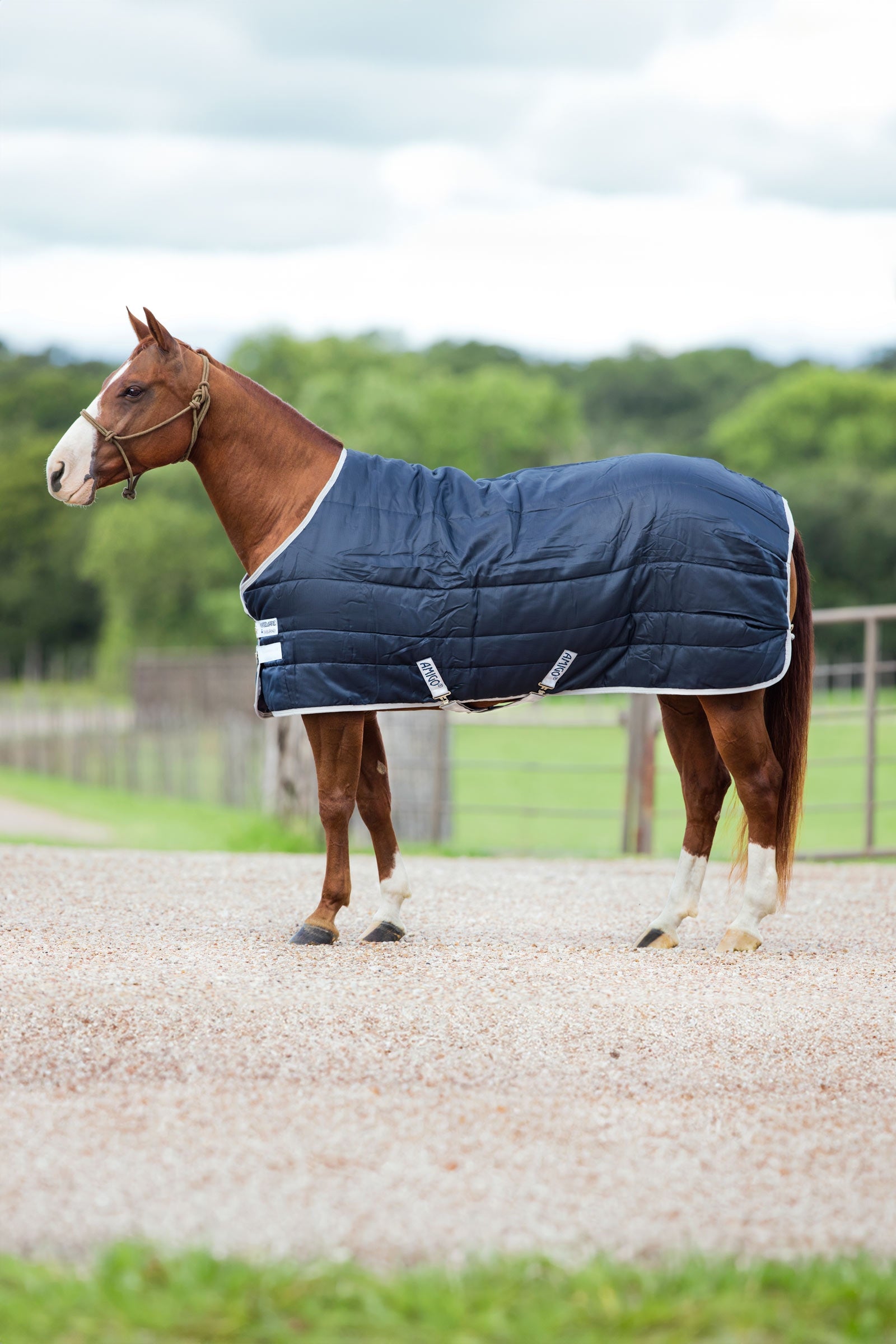 Horseware Amigo Insulator staldeken, 200g Paardendekens
