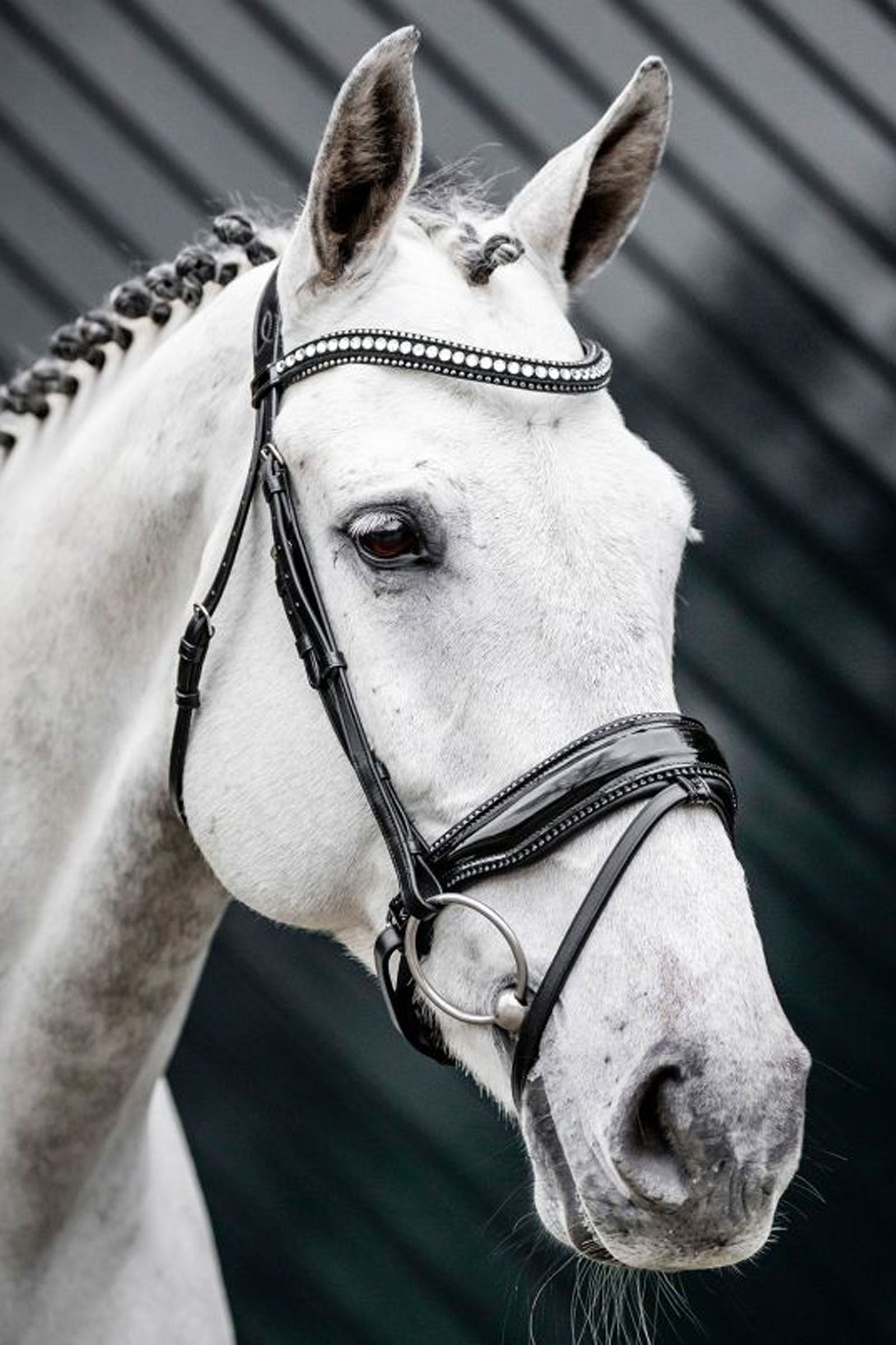 Horseware Diamante hoofdstel met sperriem Hoofdstellen & Teugels