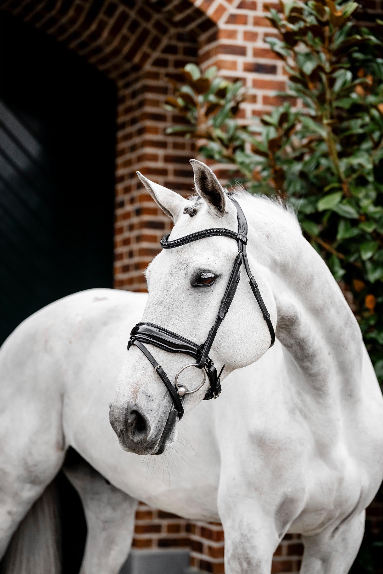 Horseware Diamante hoofdstel met sperriem Hoofdstellen & Teugels