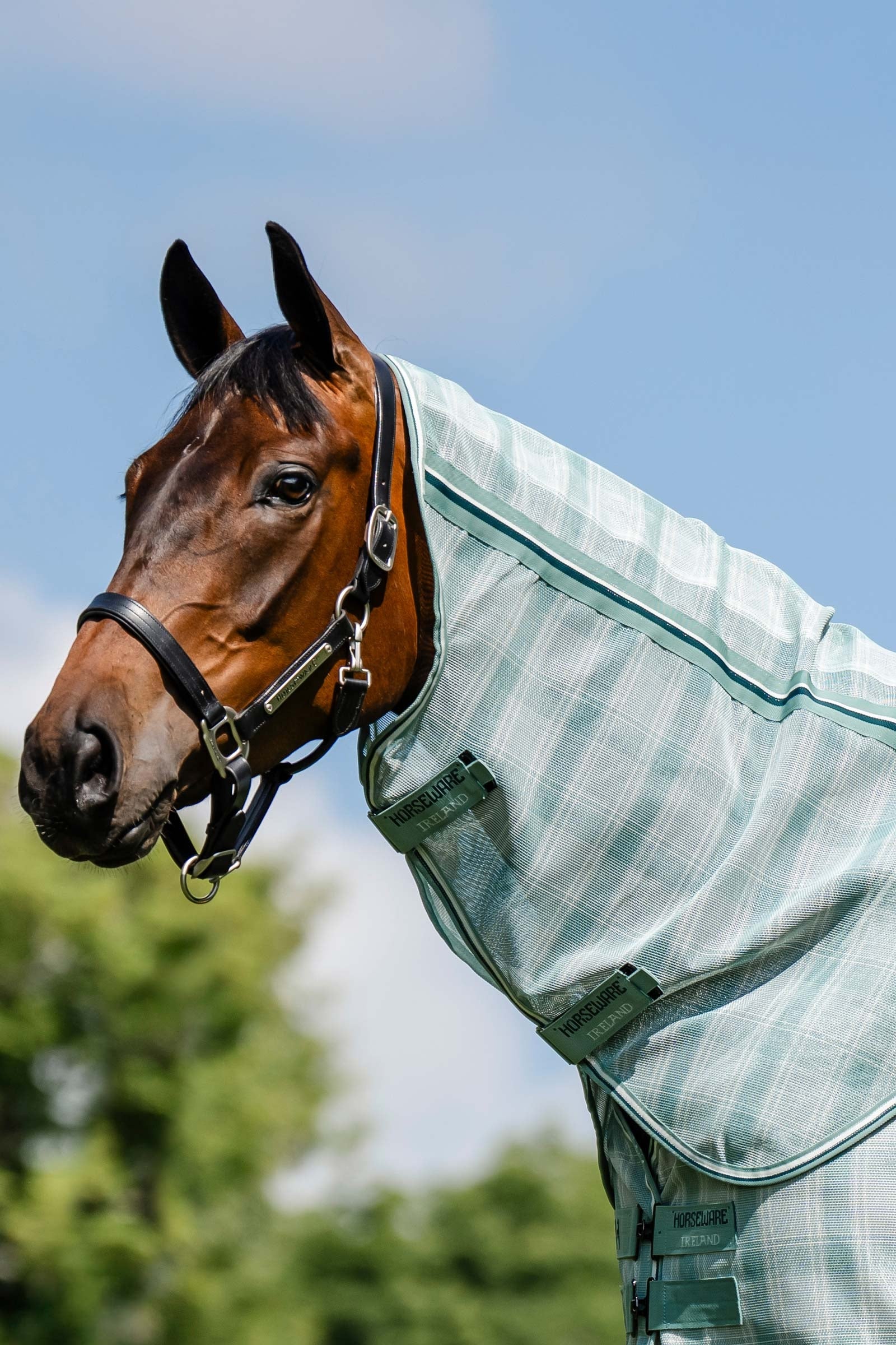 Horseware Newmarket halsstuk voor vliegendeken met UV-bescherming Paardendekens