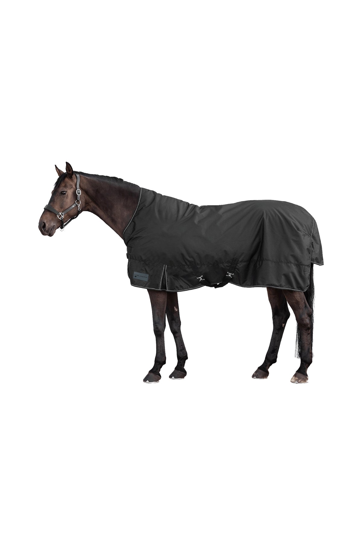 Waldhausen NORDIC 600D Outdoordeken met Hoge Hals, 100 g Paardendekens