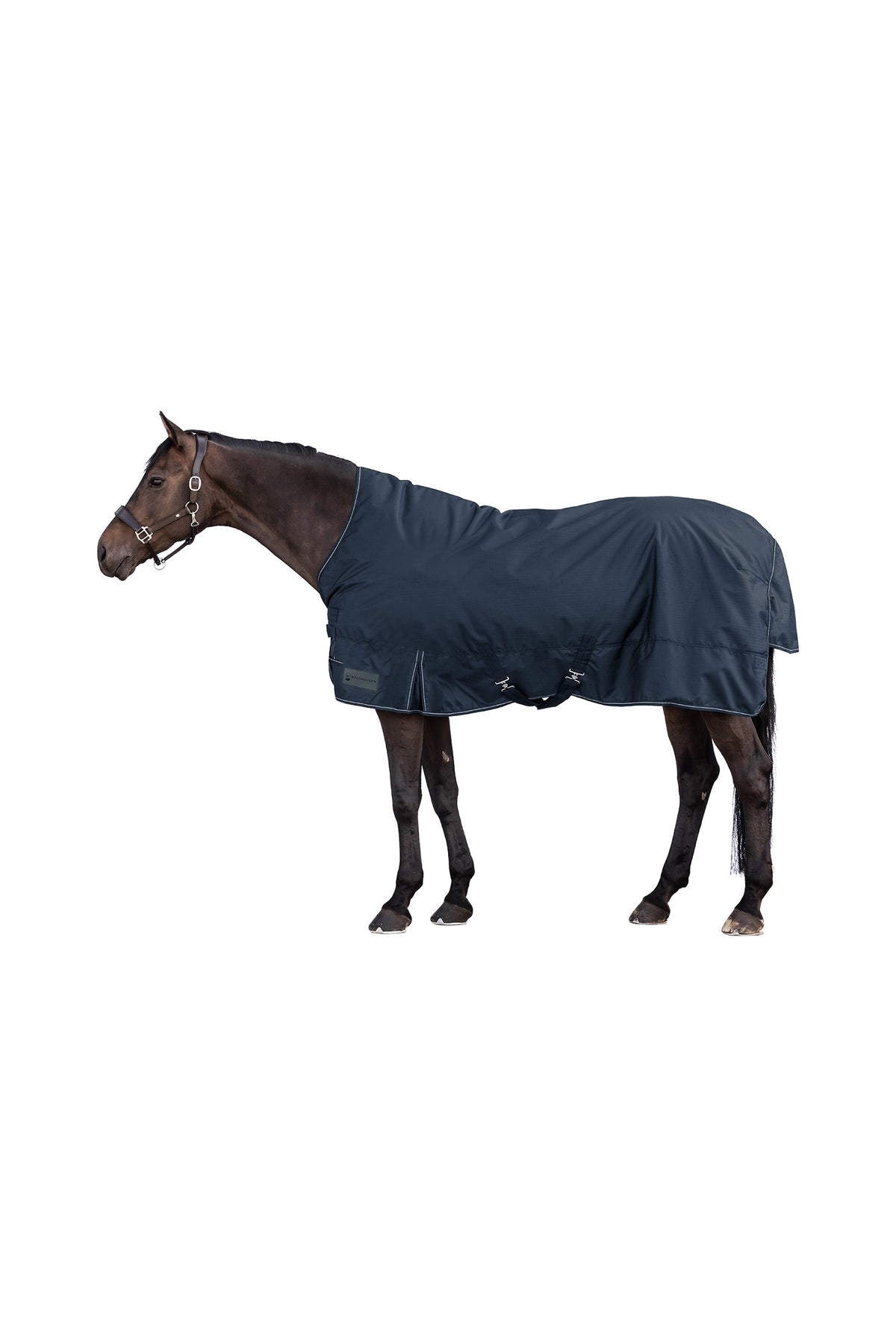 Waldhausen NORDIC 600D Outdoordeken met Hoge Hals, 100 g Paardendekens