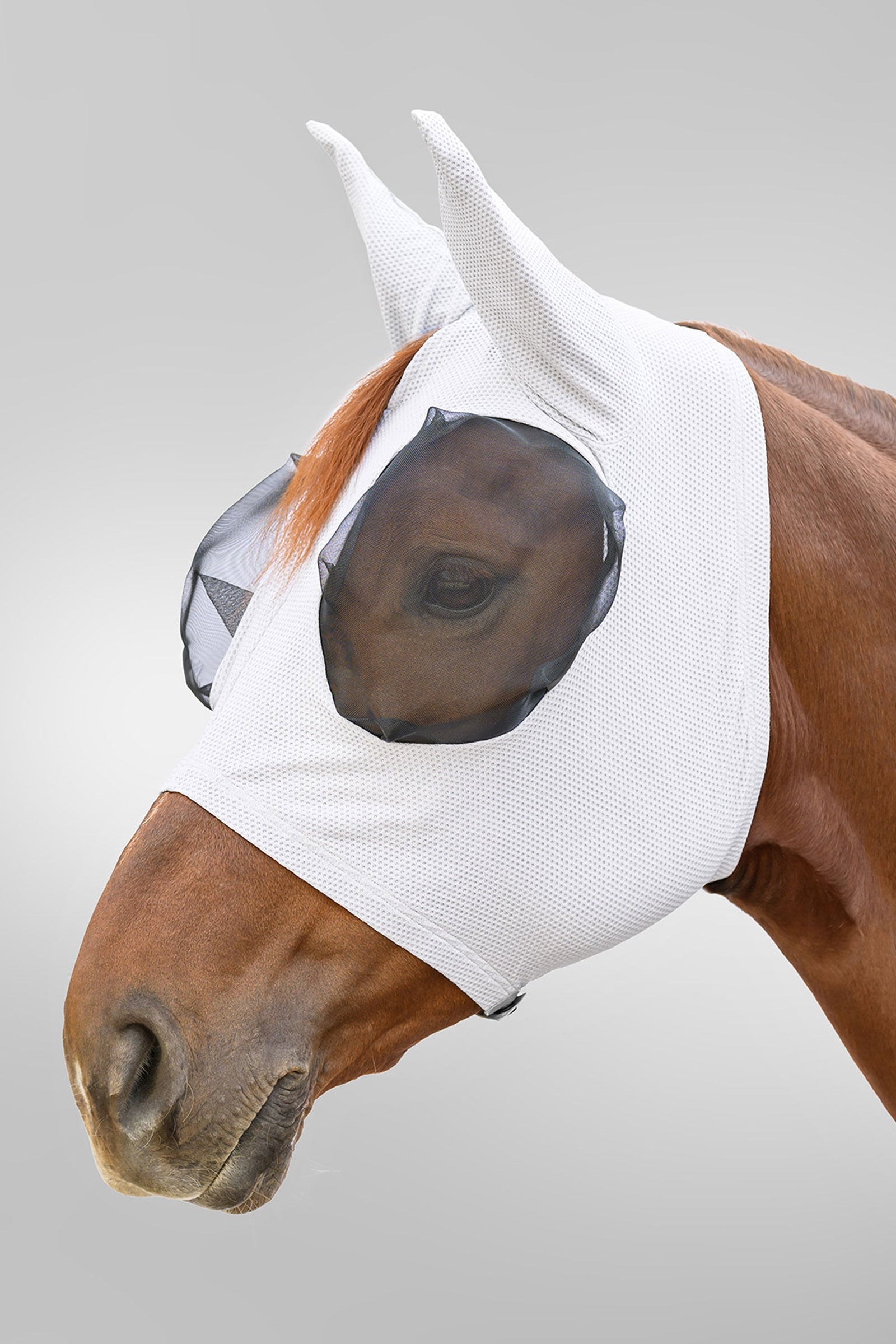 Waldhausen Breath Puck vliegenmasker met UV-bescherming Vliegenbescherming