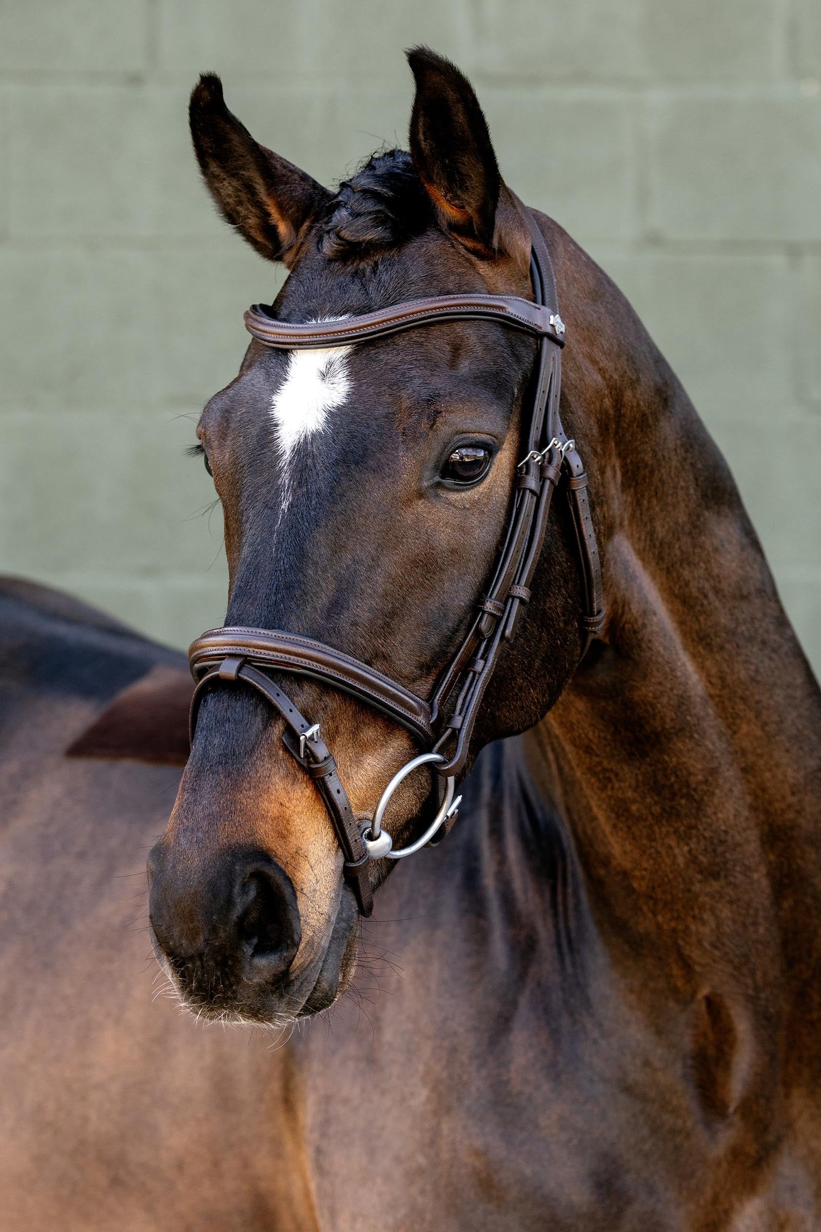 LeMieux Arika Flash Bridle Bridles & Reins