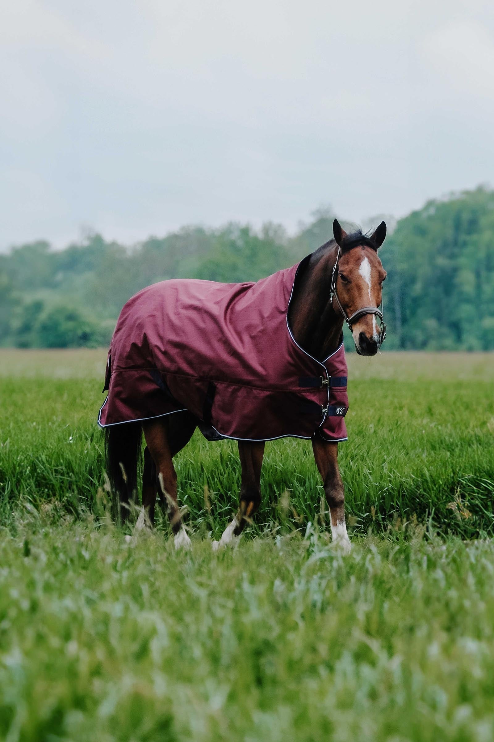 Equi Theme EQUITHÈME TYREX 1200D High Neck Rug, 150 g Horse Rugs