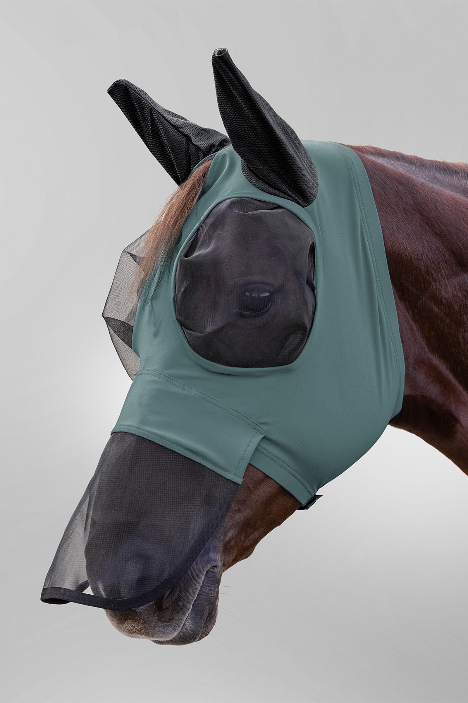 Waldhausen Puck Fly Mask With Nose and UV-Protection Antifly Protection for Horses